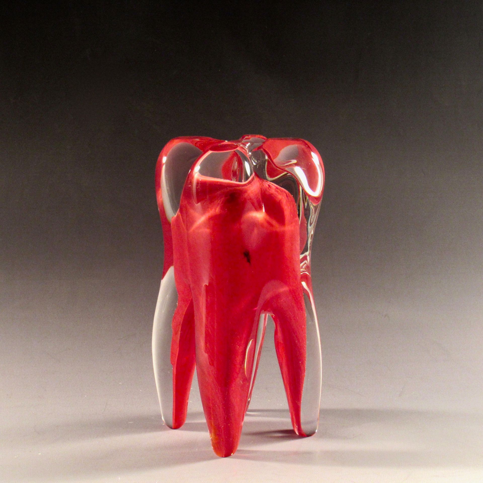 Solid Hand Blown Glass Wisdom Tooth 5