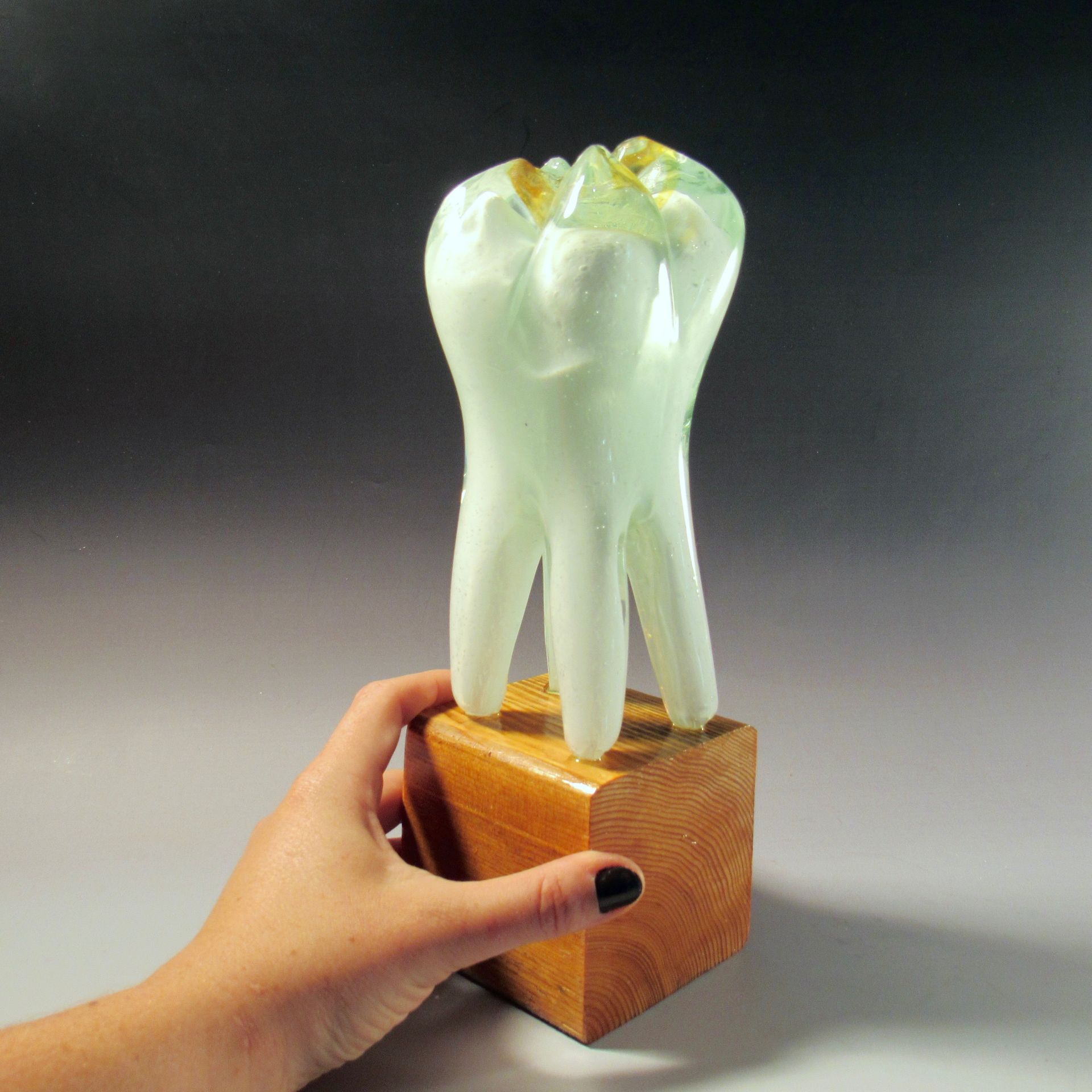 Solid Hand Blown Glass Wisdom Tooth 3