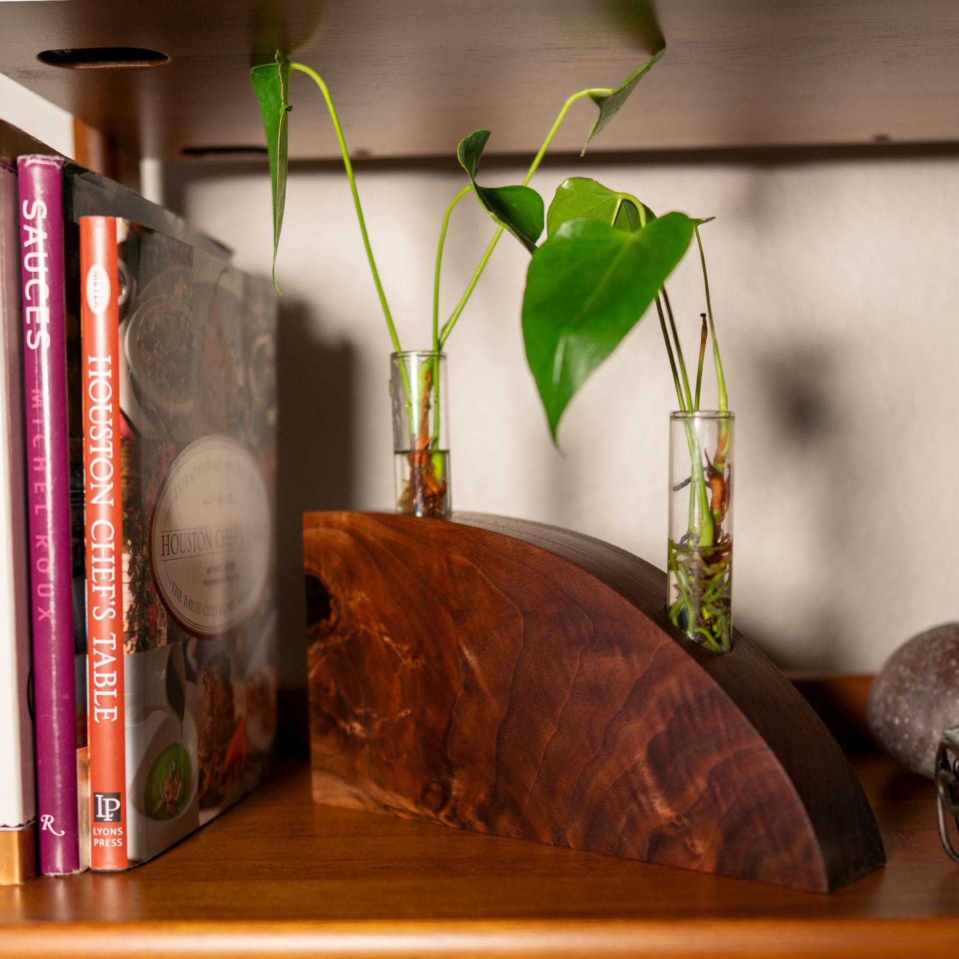Propagation Vase:  Crimson And Clover 3 