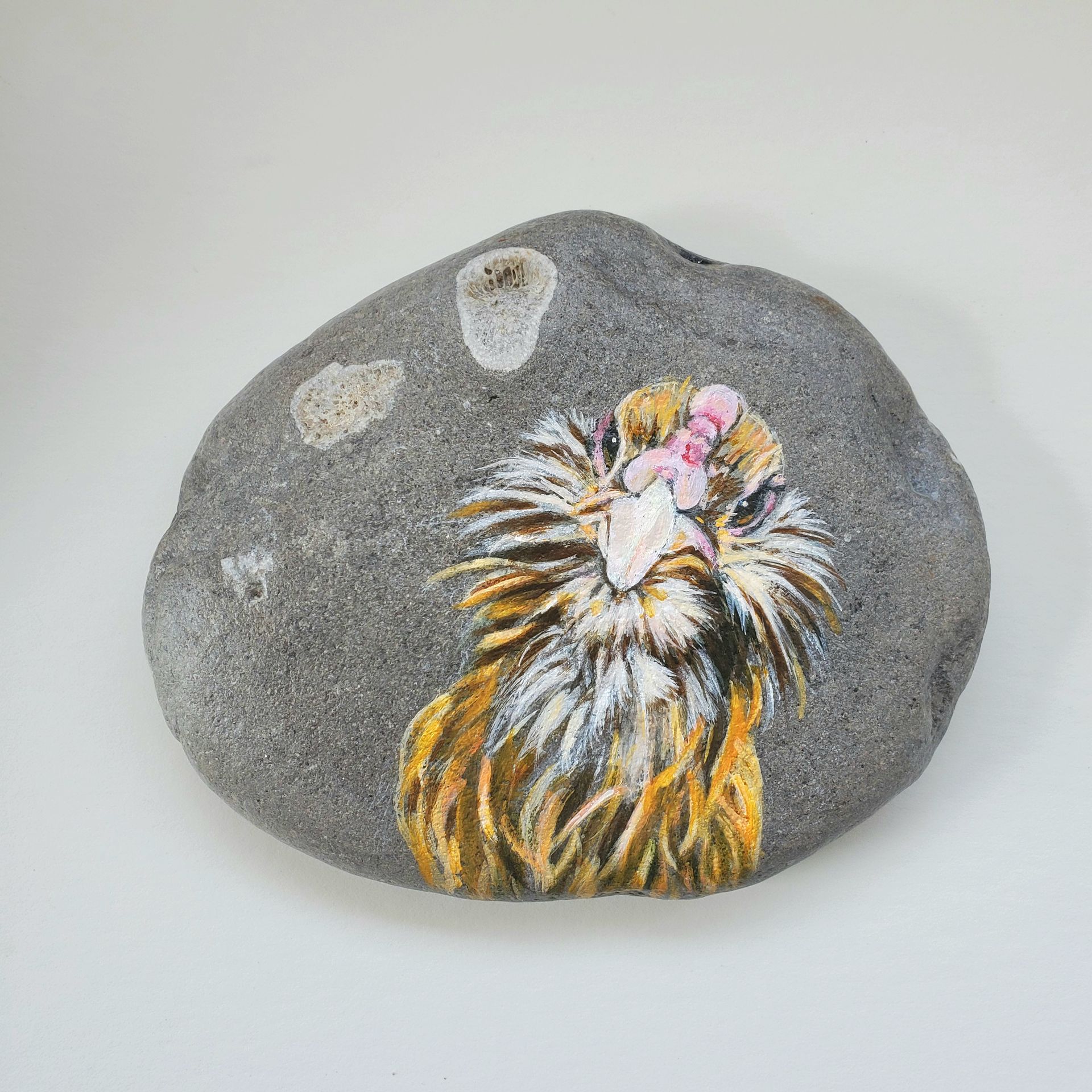 Pet Portrait On Rock - Custom Hand Painted Realistic Cat Or Dog Portrait On A Rock 4 