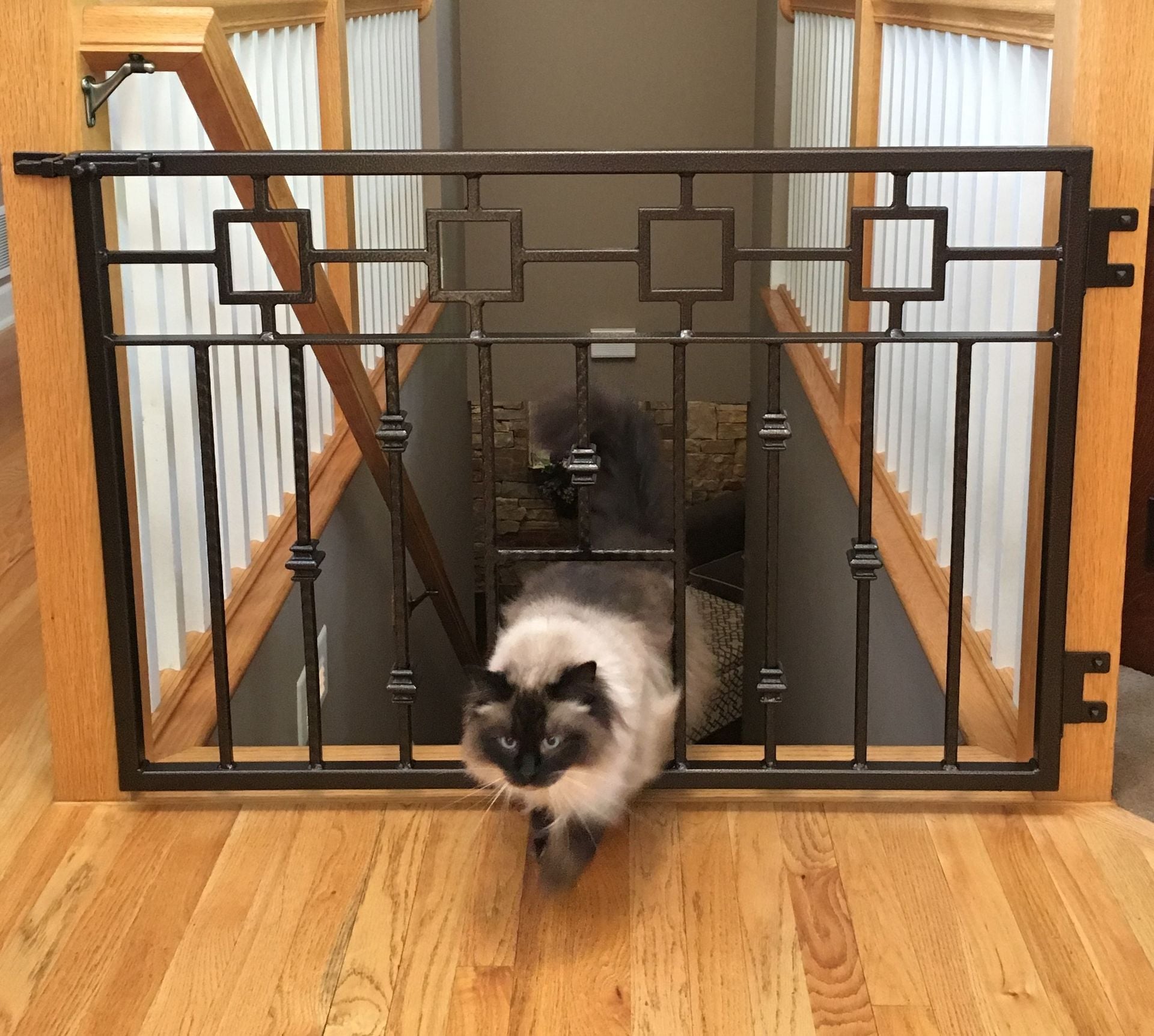 Pet Gate; Wrought Iron Dog/Cat Gate; Steel Stairway Gate; Custom Metal Pet Doors