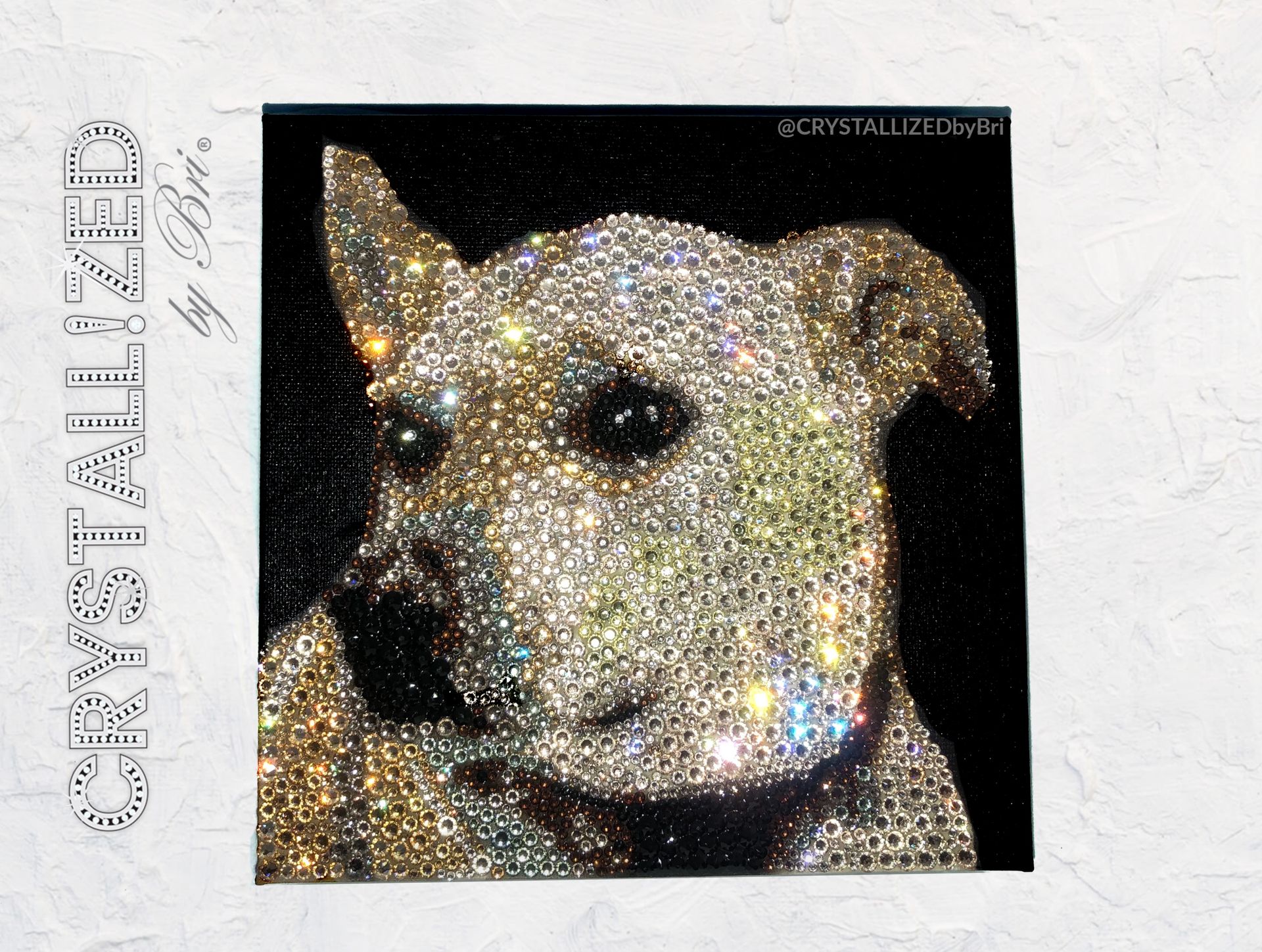 Custom Crystallized Pet Portrait Mini Dog Cat Animal Bling European Crystals 3