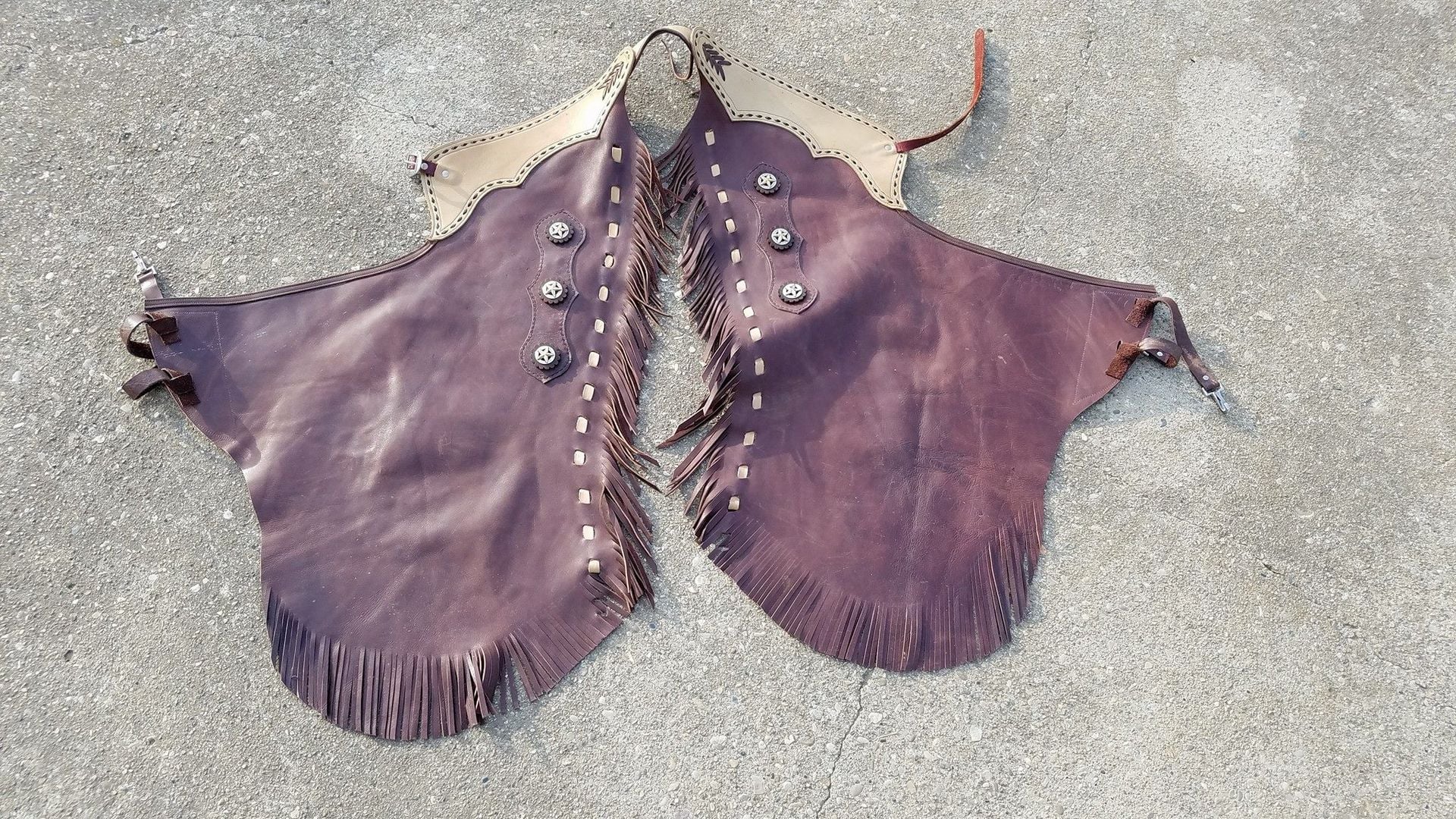 Leather Working Or Show Chinks 6