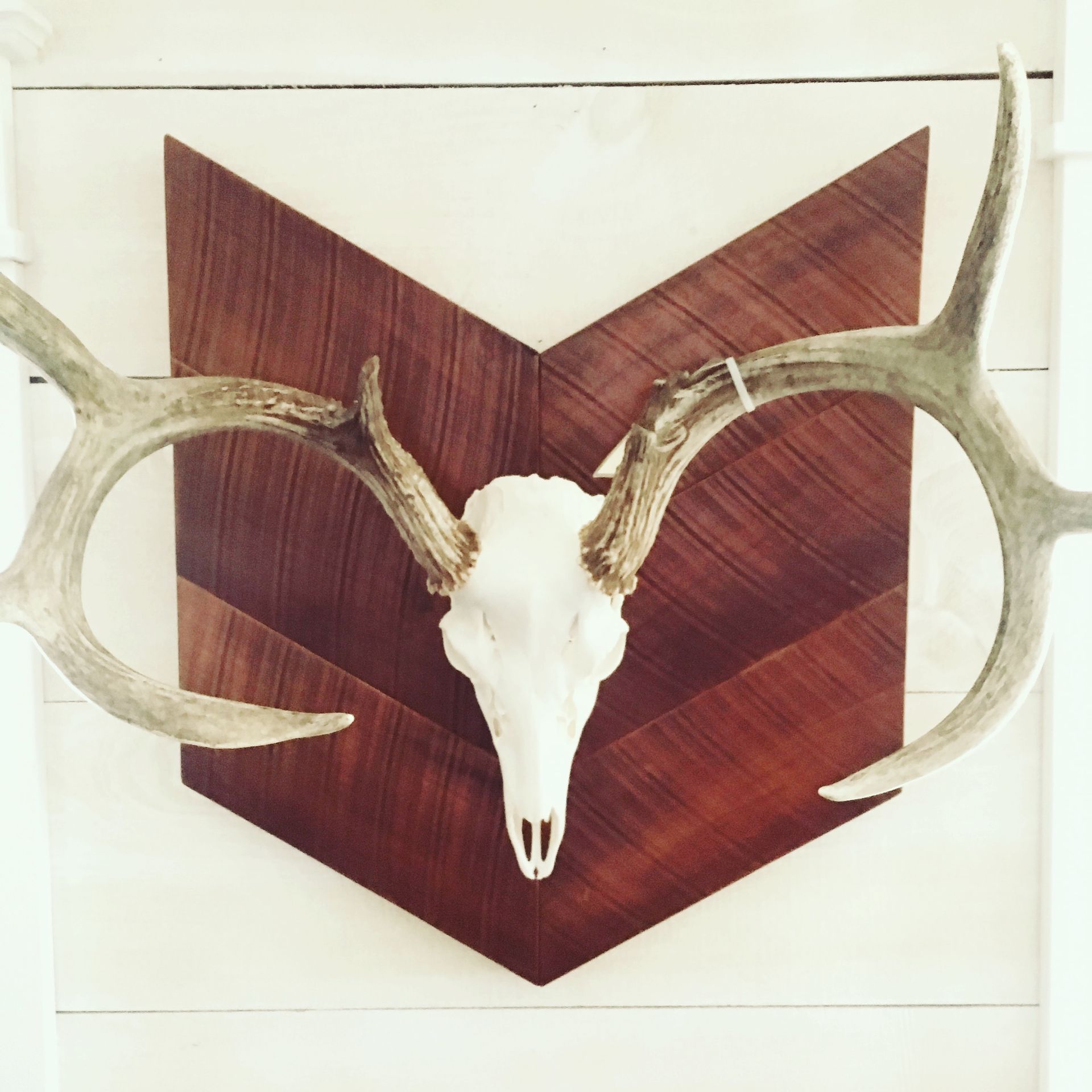 Deer Rack Mount