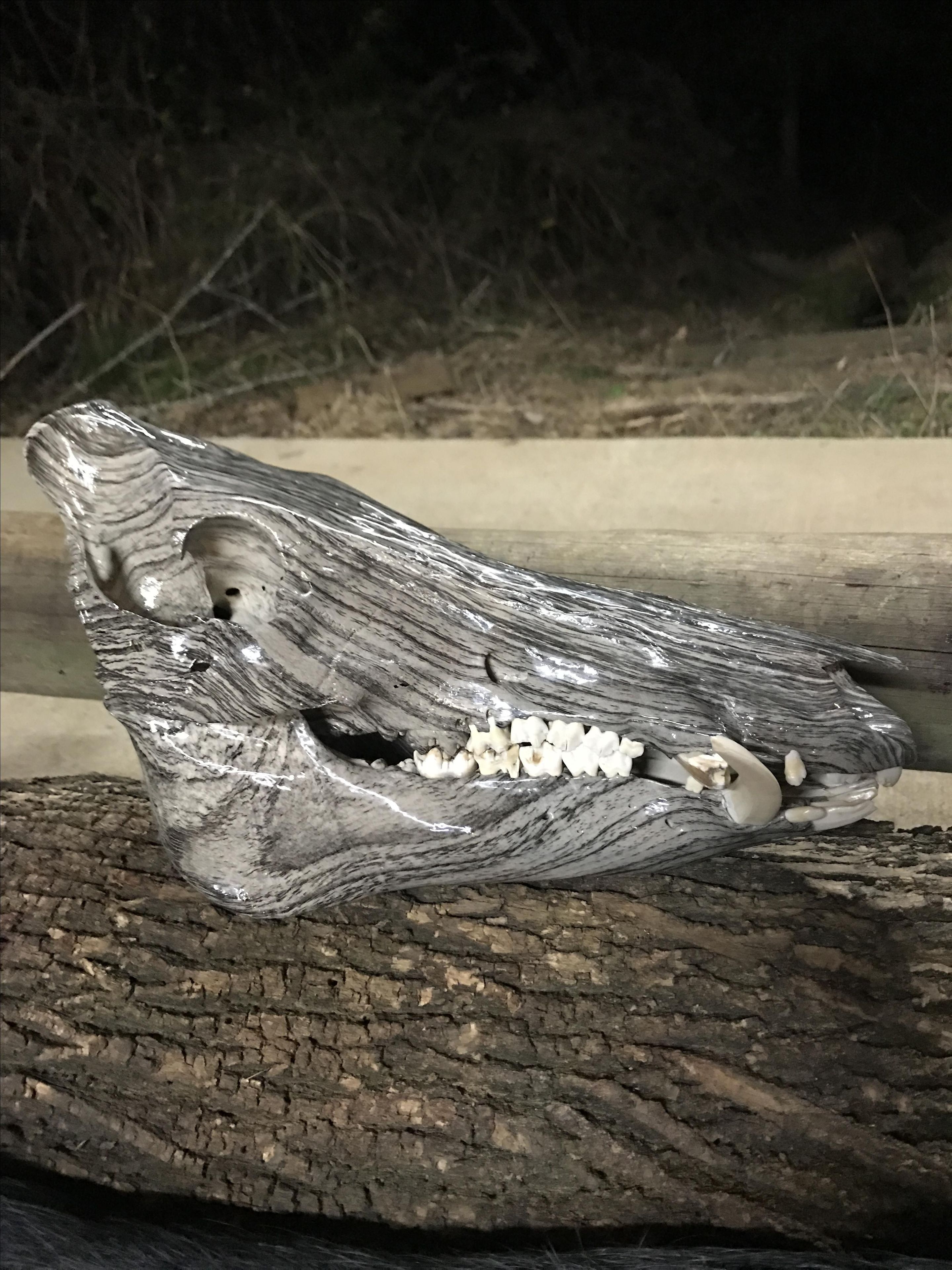 Custom European Mounts, Natural Or Hydro-Dipped! 6 