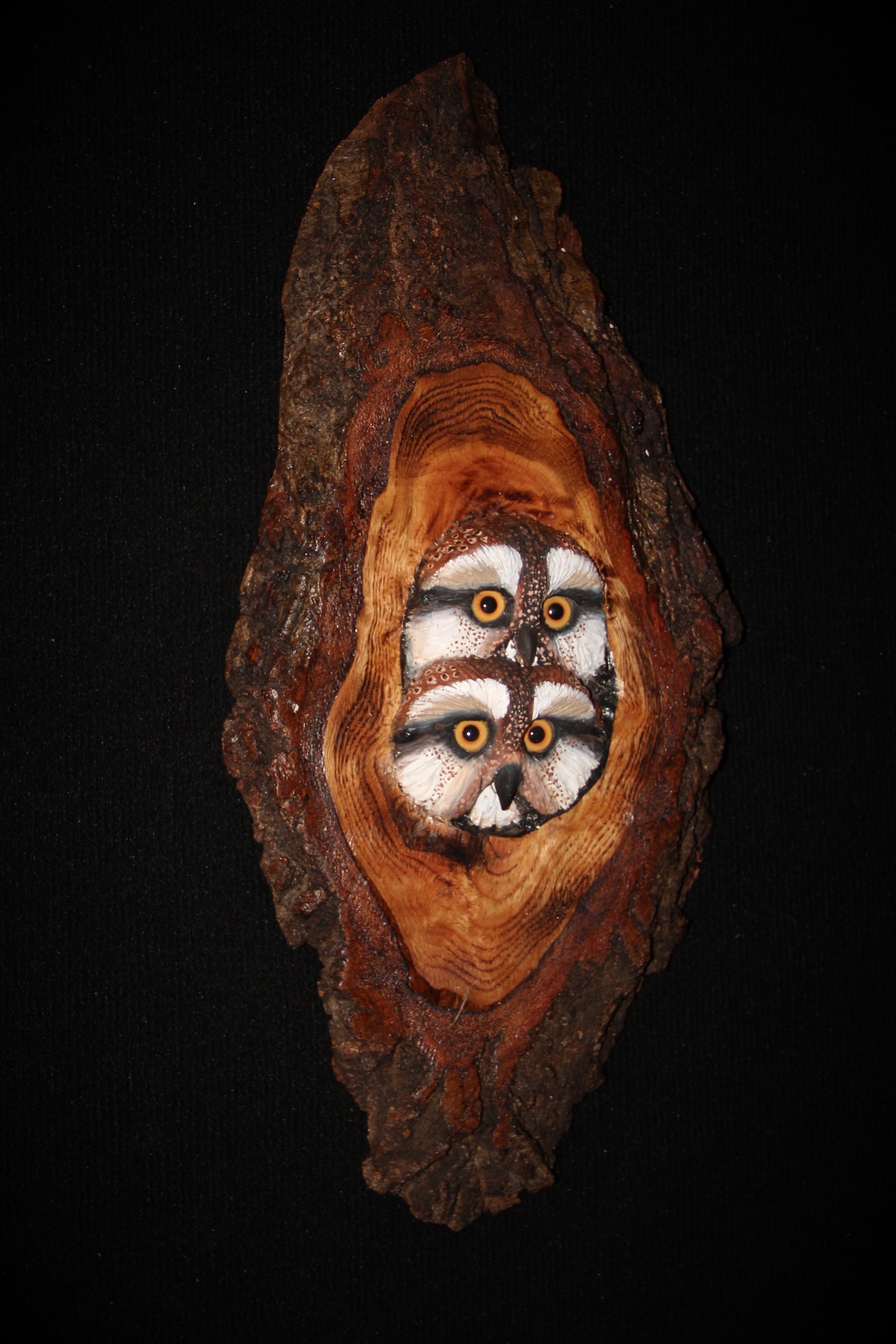 Wood Owl Wall Sculpture 3 