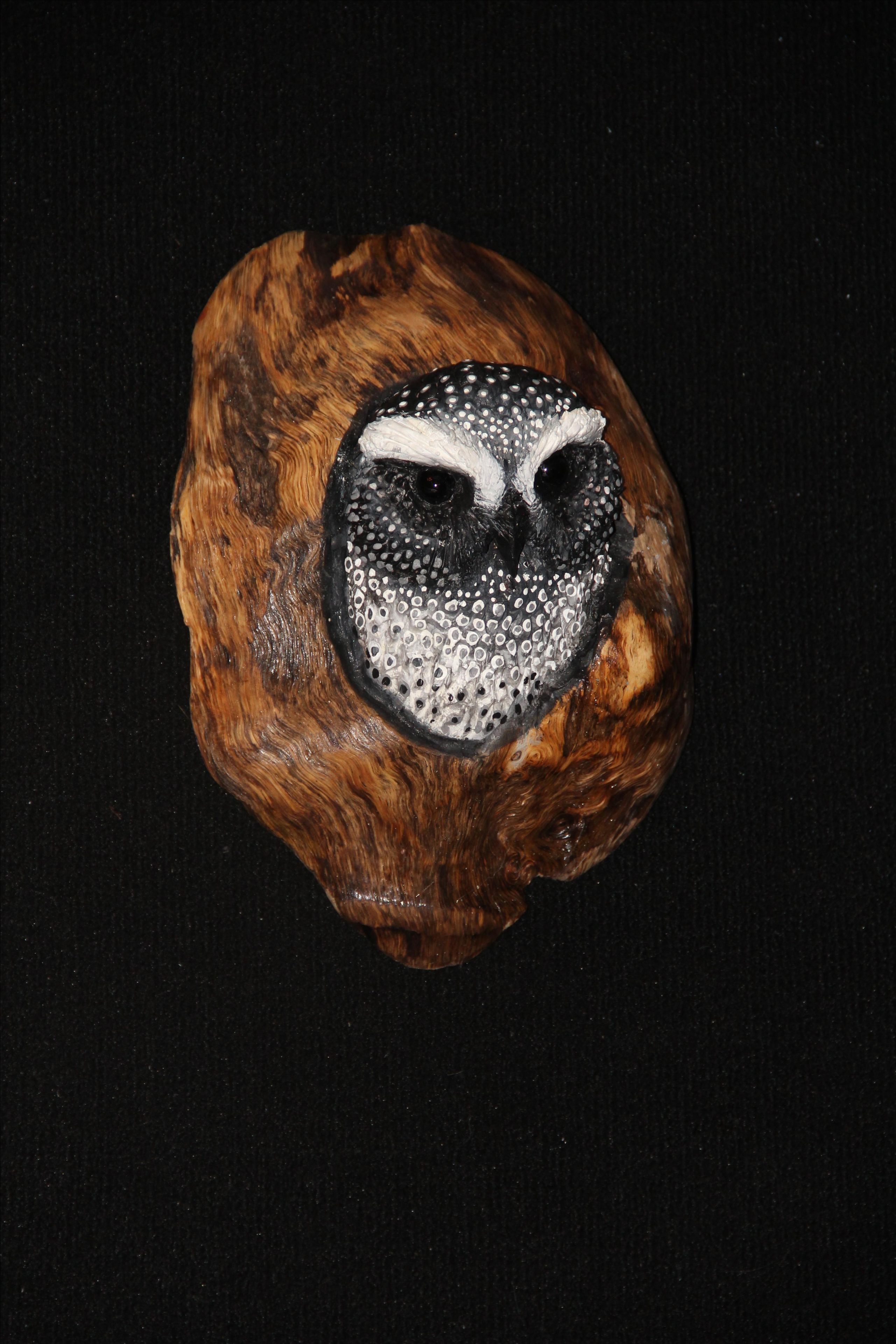 Hand Carved And Painted Owls In Oak 3 