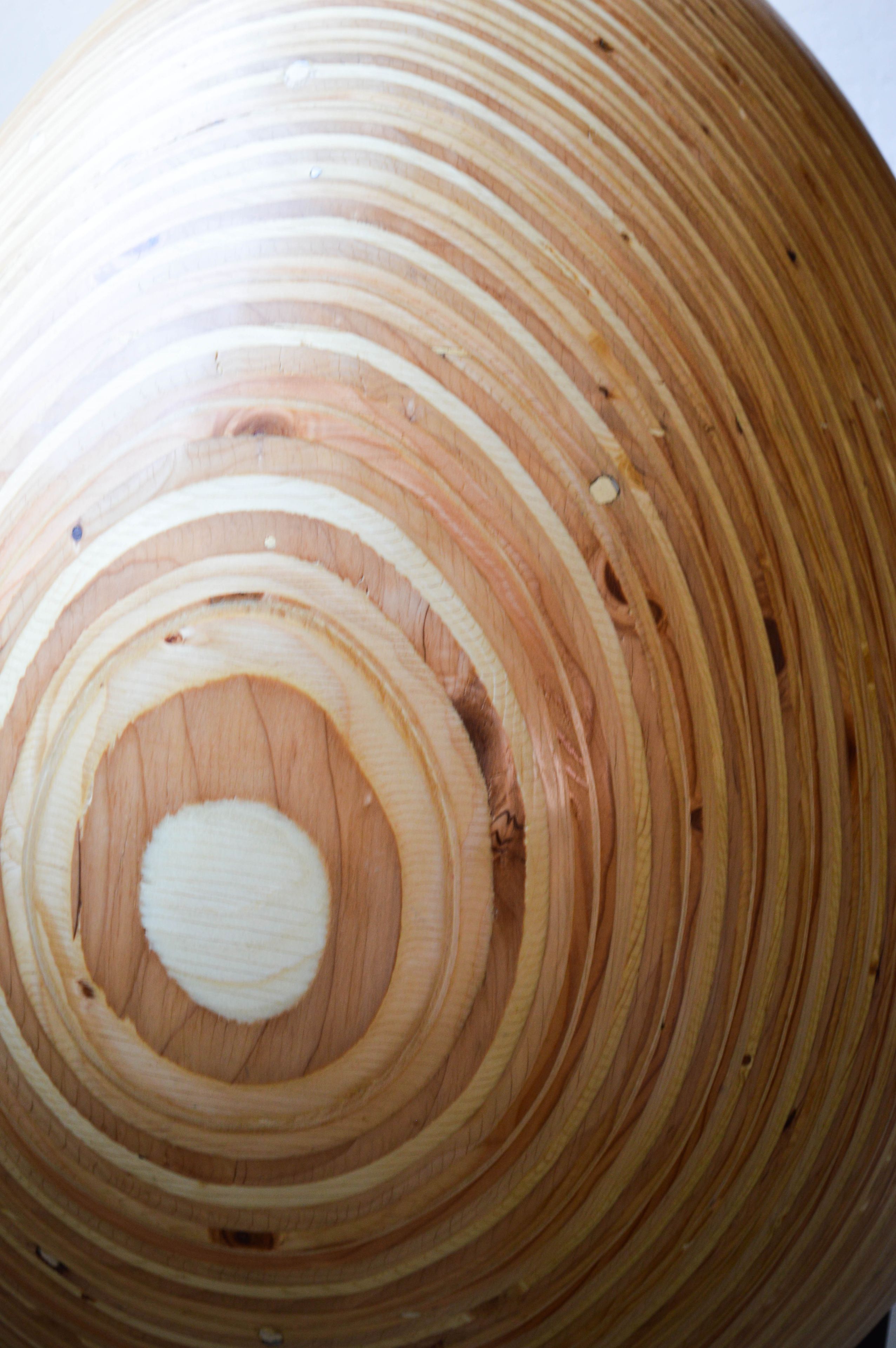 Large Plywood Laminate Egg 4 