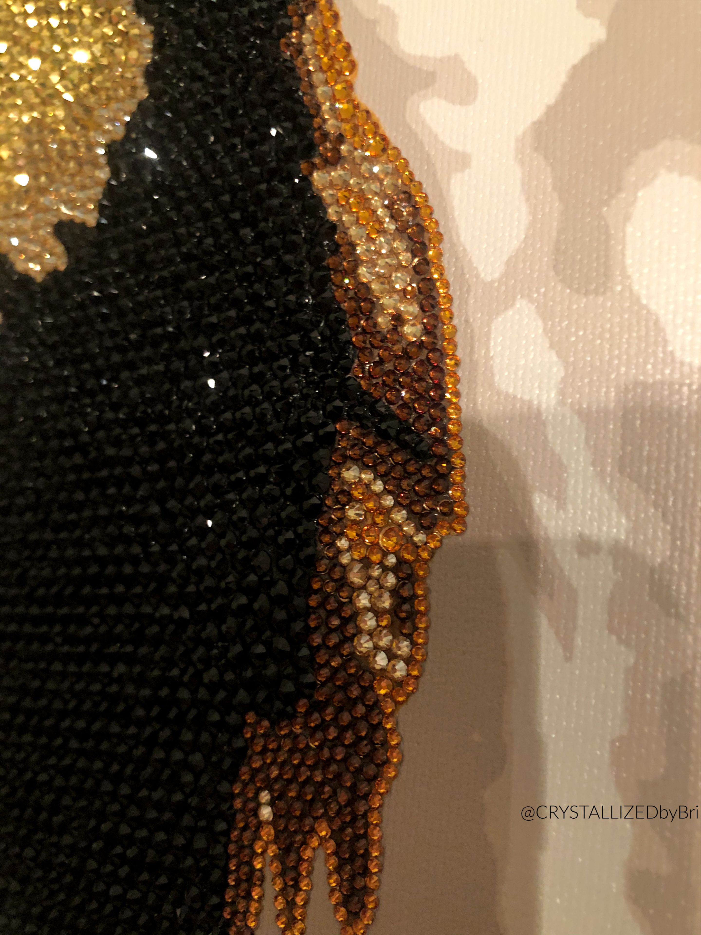 Custom Crystallized Pet Portrait Dog Cat Animal Bling Genuine European Crystals Bedazzled Museum 3