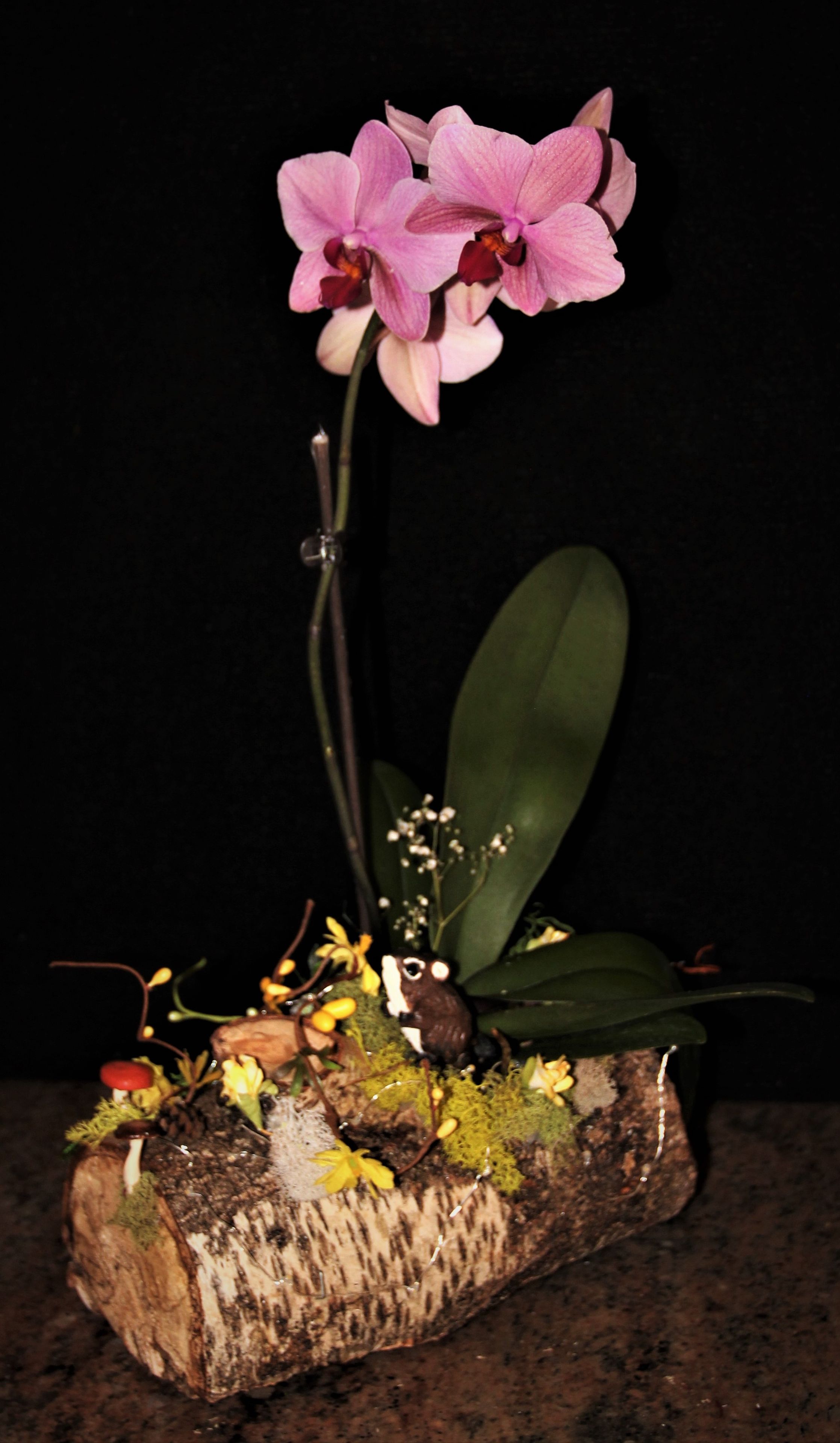 Natural Wood Plant Holder With Hand Sculpted Animal. 2 