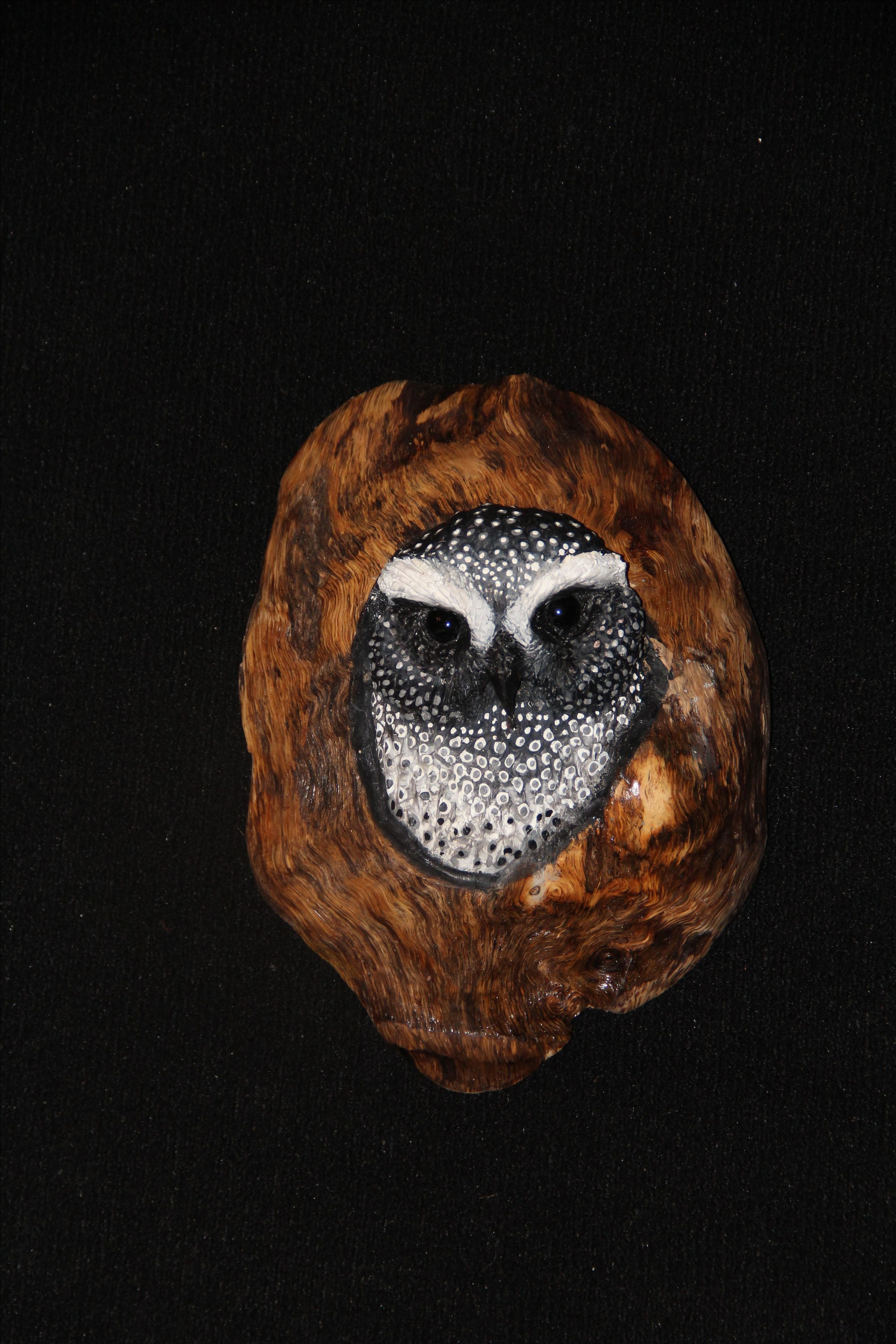 Hand Carved And Painted Owls In Oak 2 