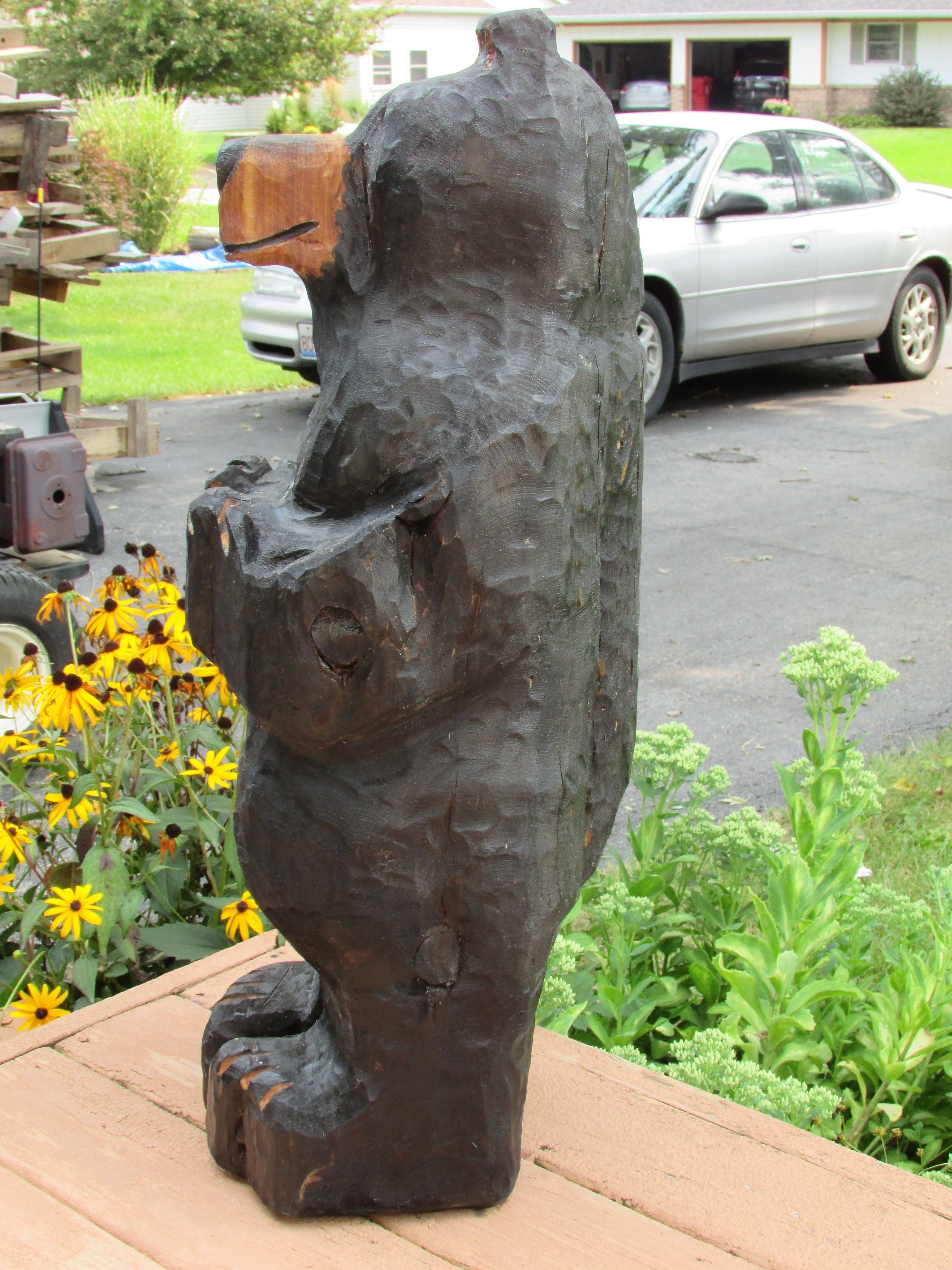 Welcoming Black Bear 2