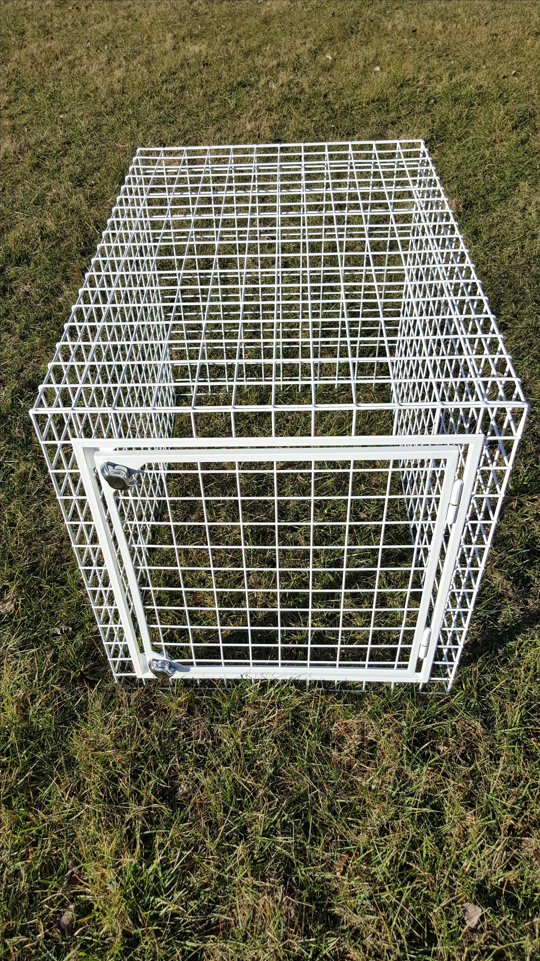 Custom Welded Wire Dog Crate With Powder Coat Finish 3 