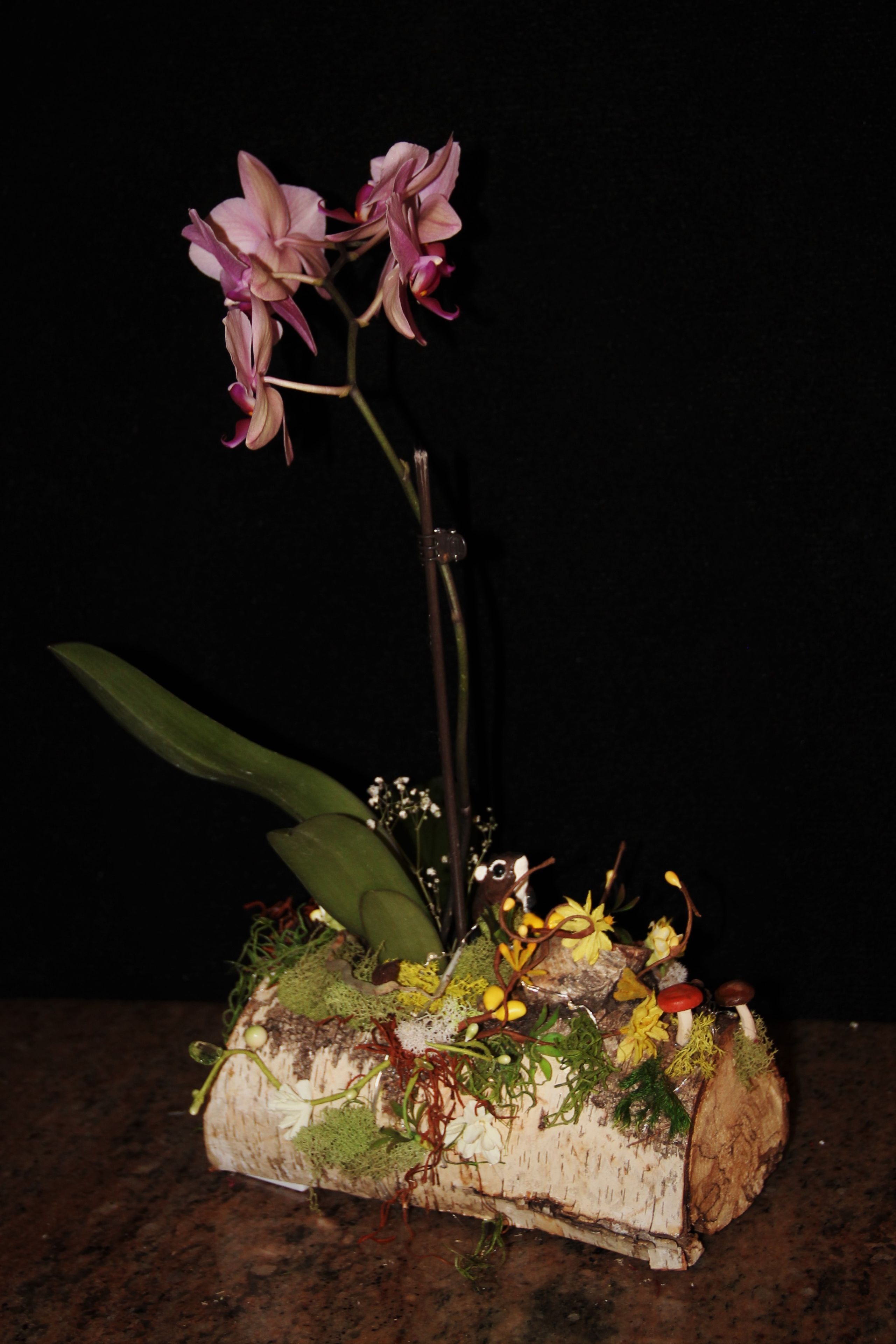 Natural Wood Plant Holder With Hand Sculpted Animal. 6 