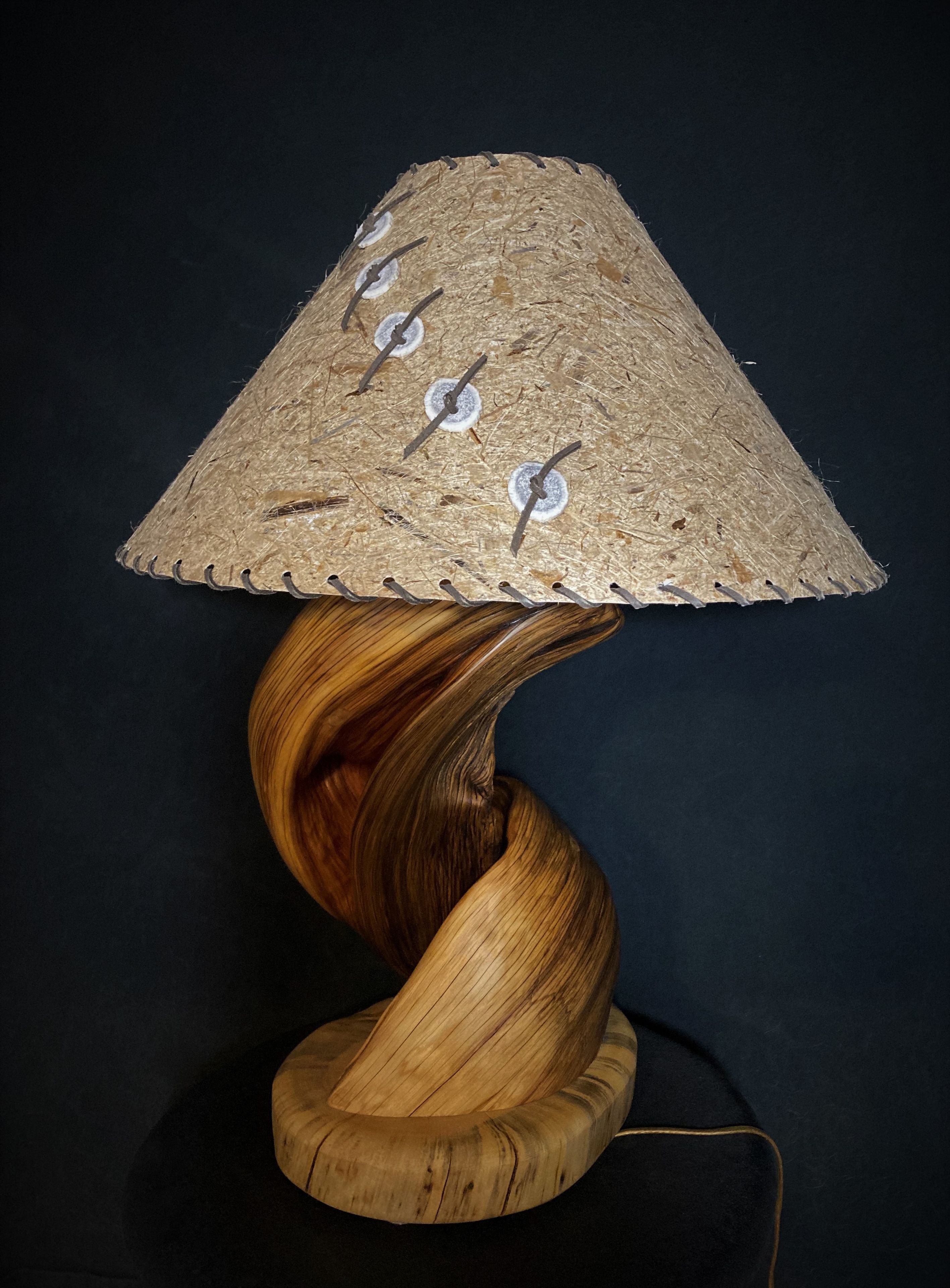 Twisted Juniper Table Lamp Handmade 3 