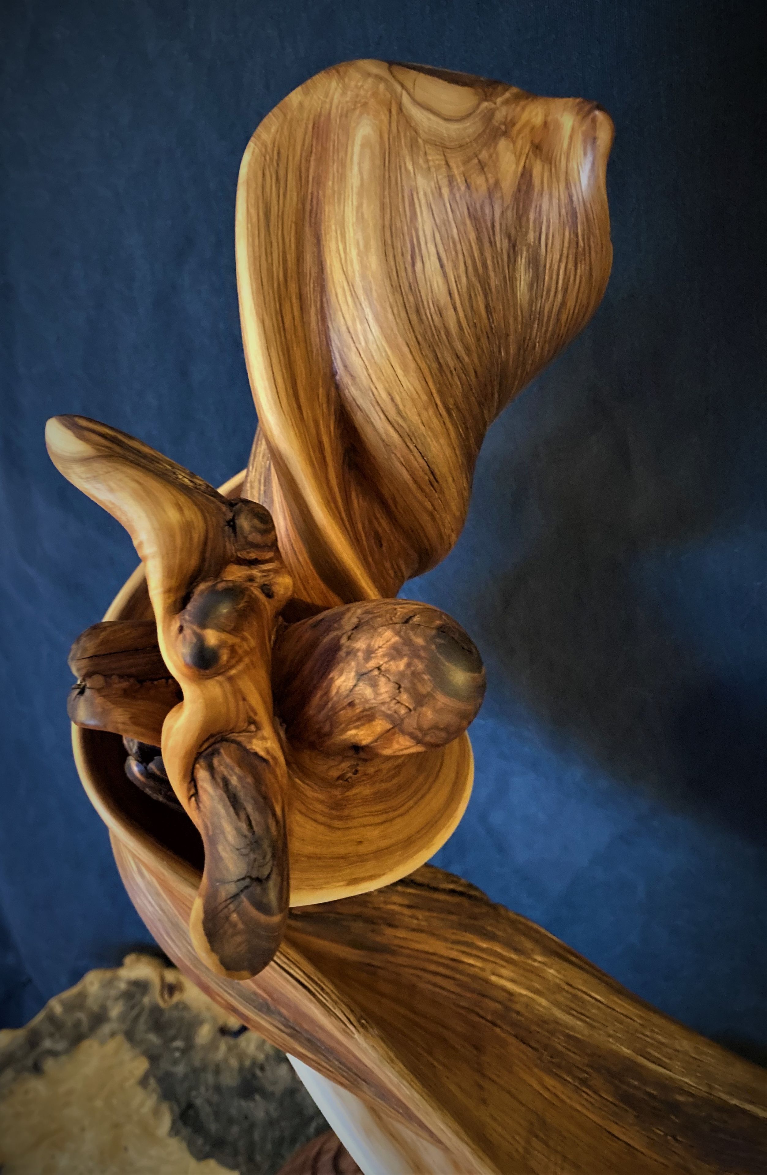 Rustic Twisted Juniper Sculpture On A Redwood Burl Base 4 