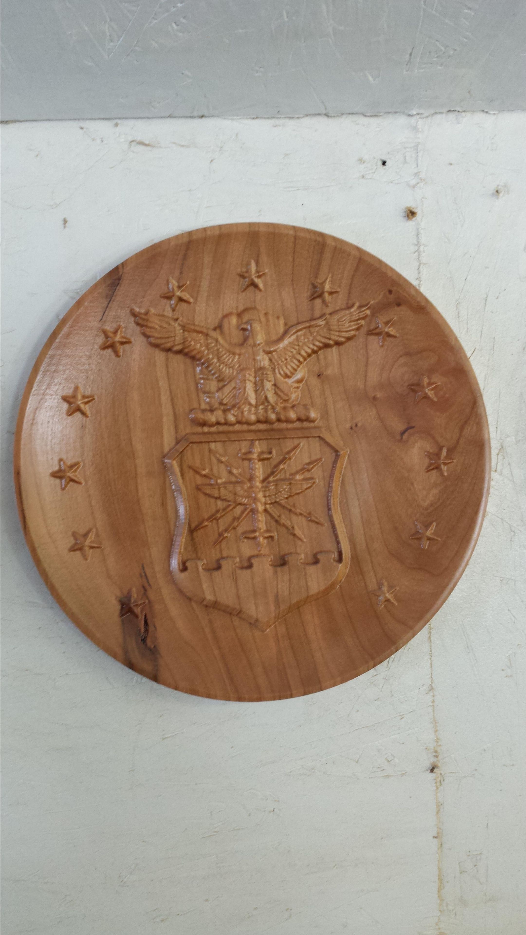 U S Military 11" Service Plaque