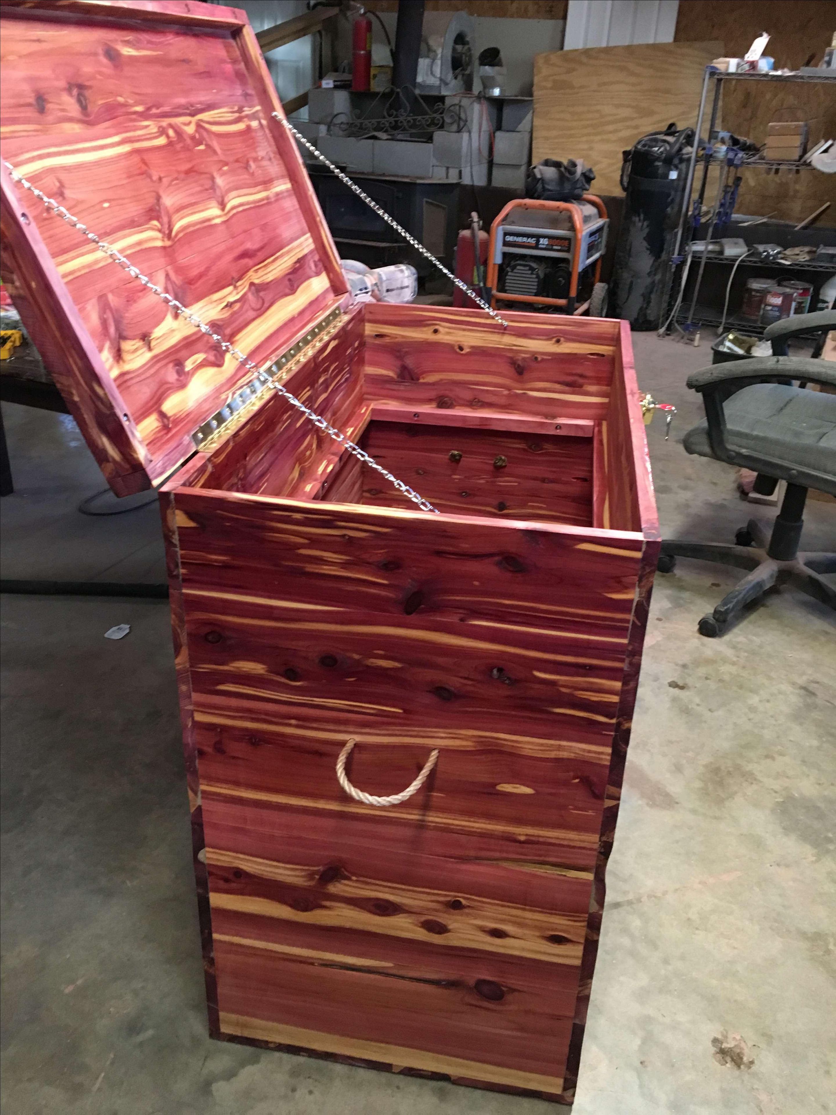 X Large Trunk 3 