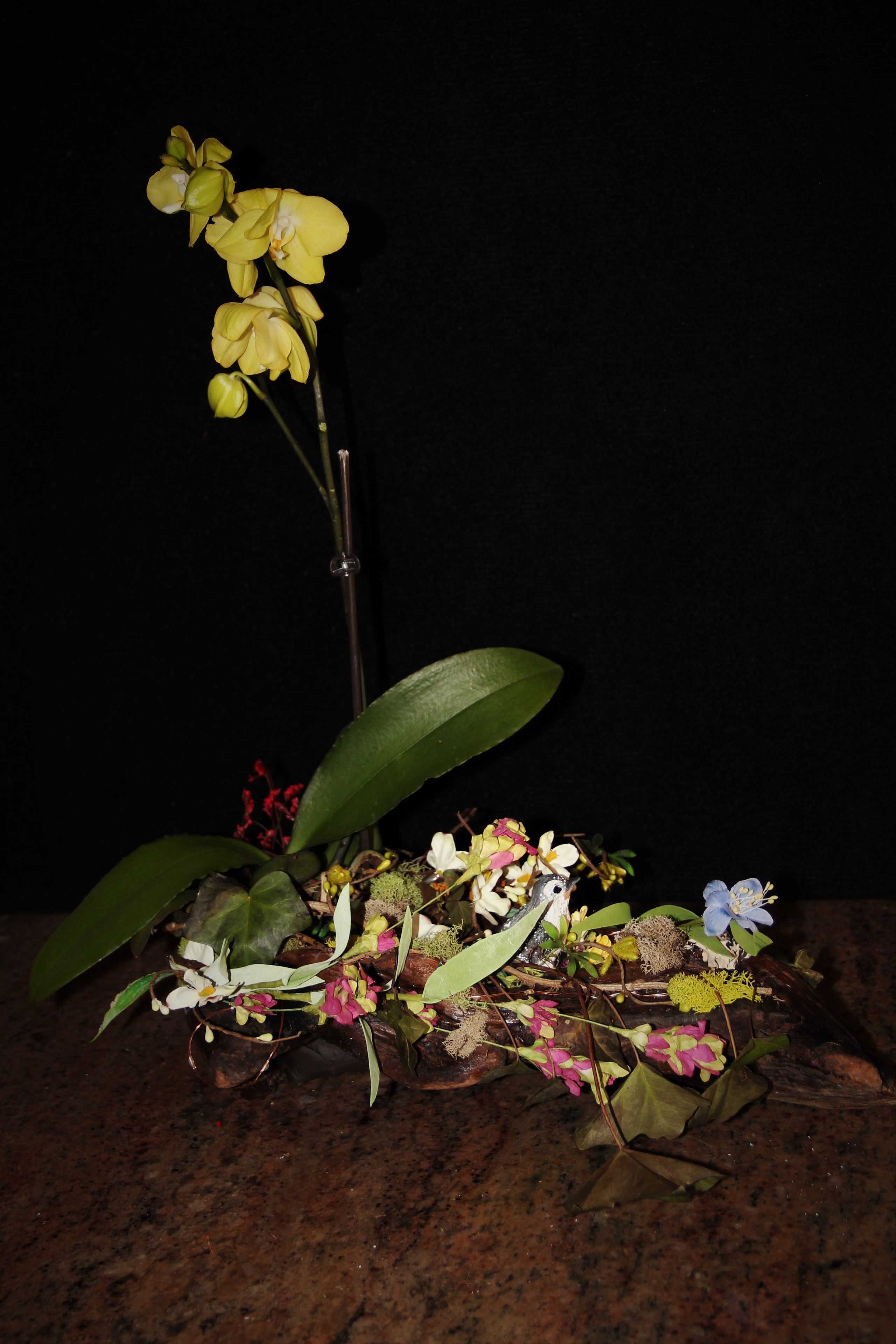 Natural Wood Plant Holder With Hand Sculpted Animal. 4 