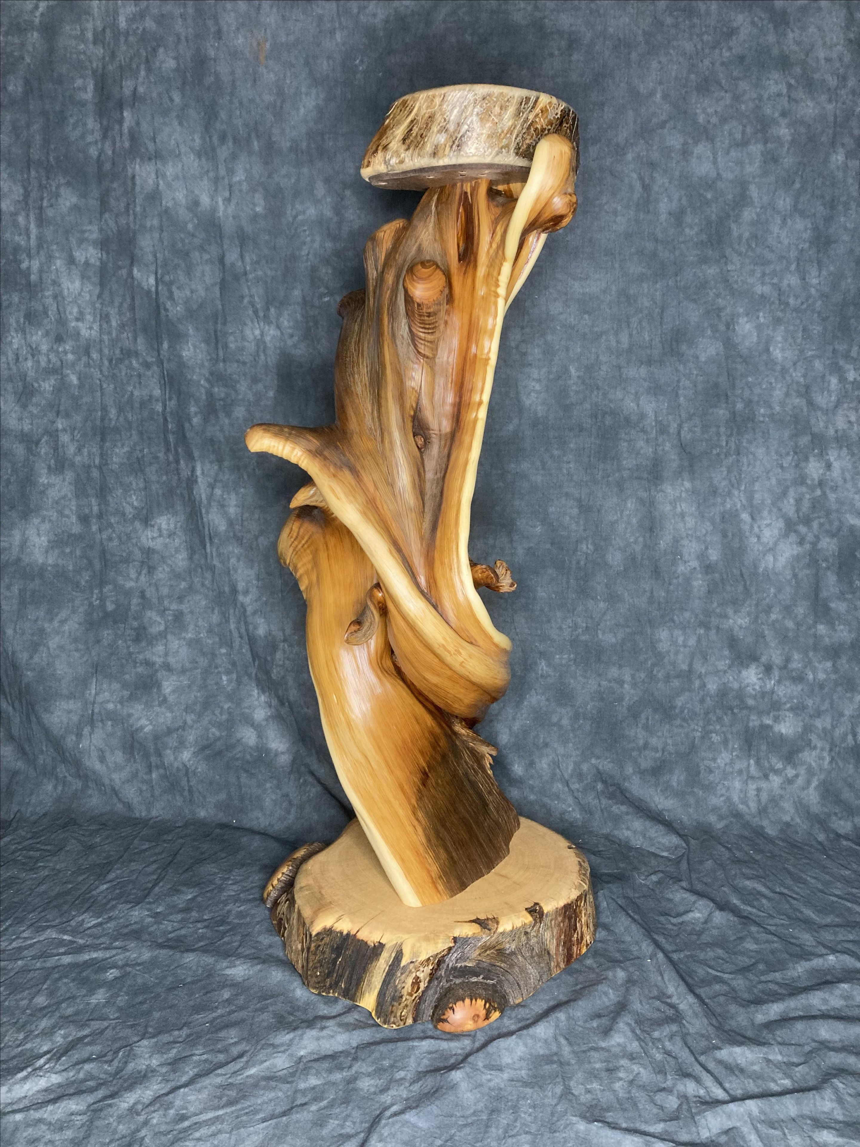 Twisted Juniper Taxidermy Pedestal With Turquoise 4 