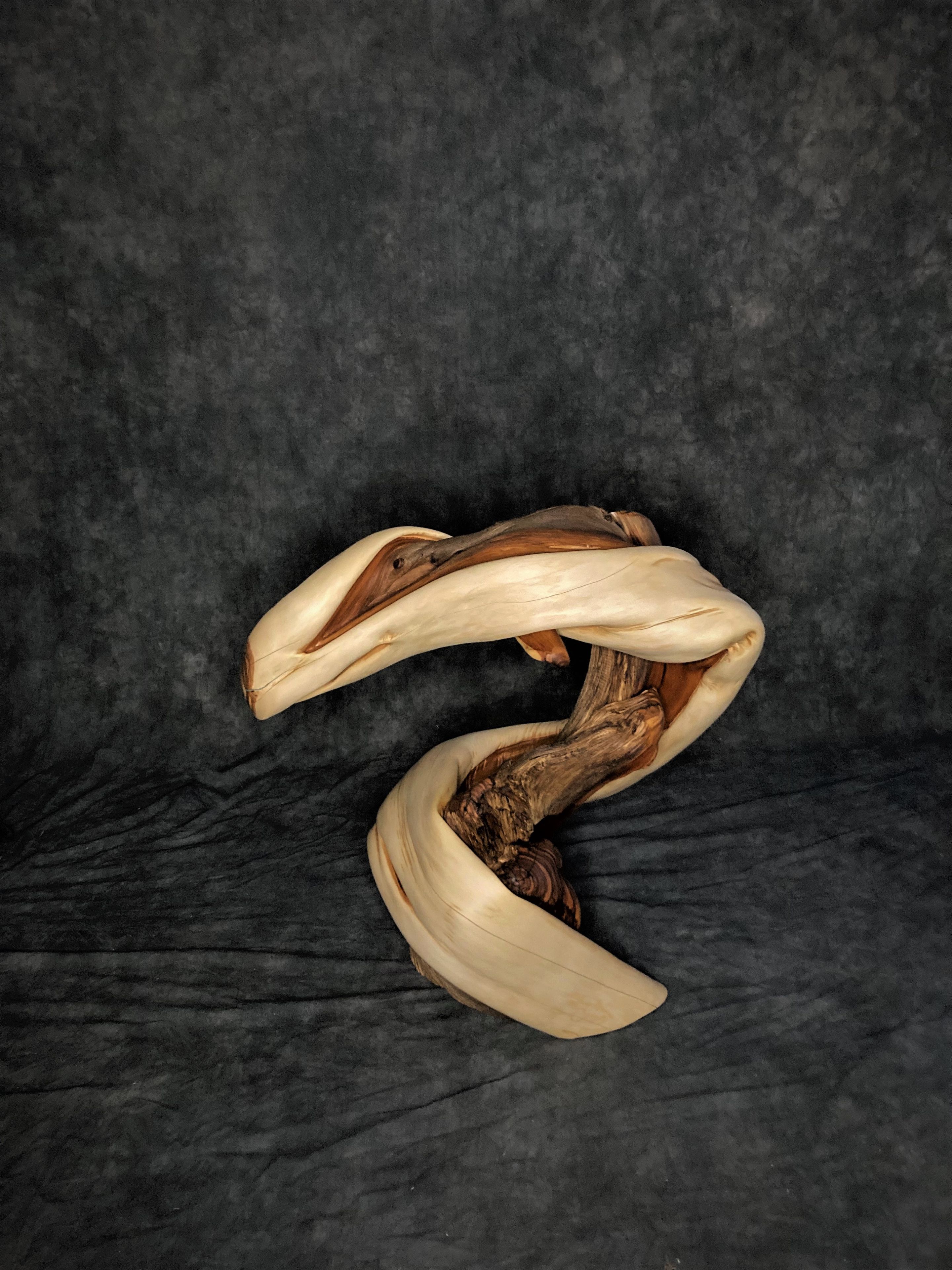 Twisted Juniper Taxidermy Pedestal With Turquoise Inlay 3 