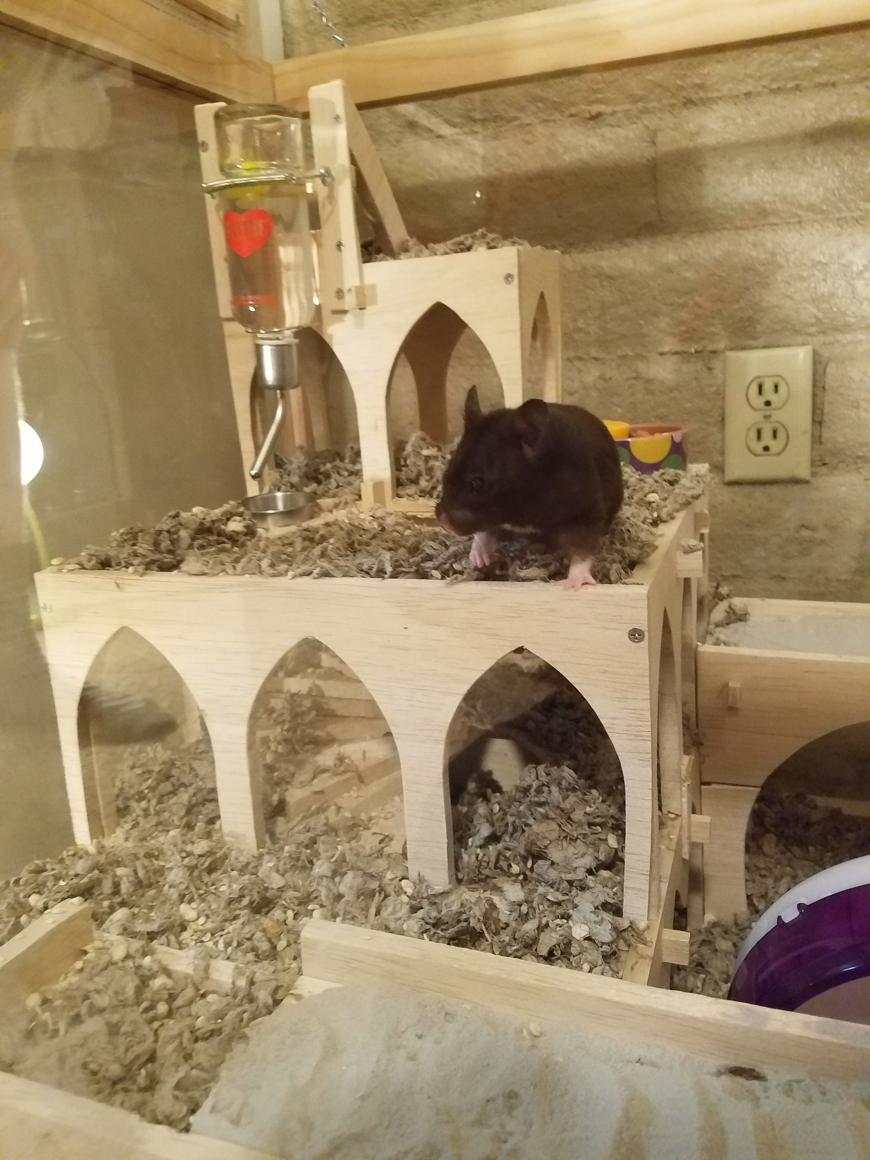 Animal Palace For Hamsters, Gerbils, Etc 4