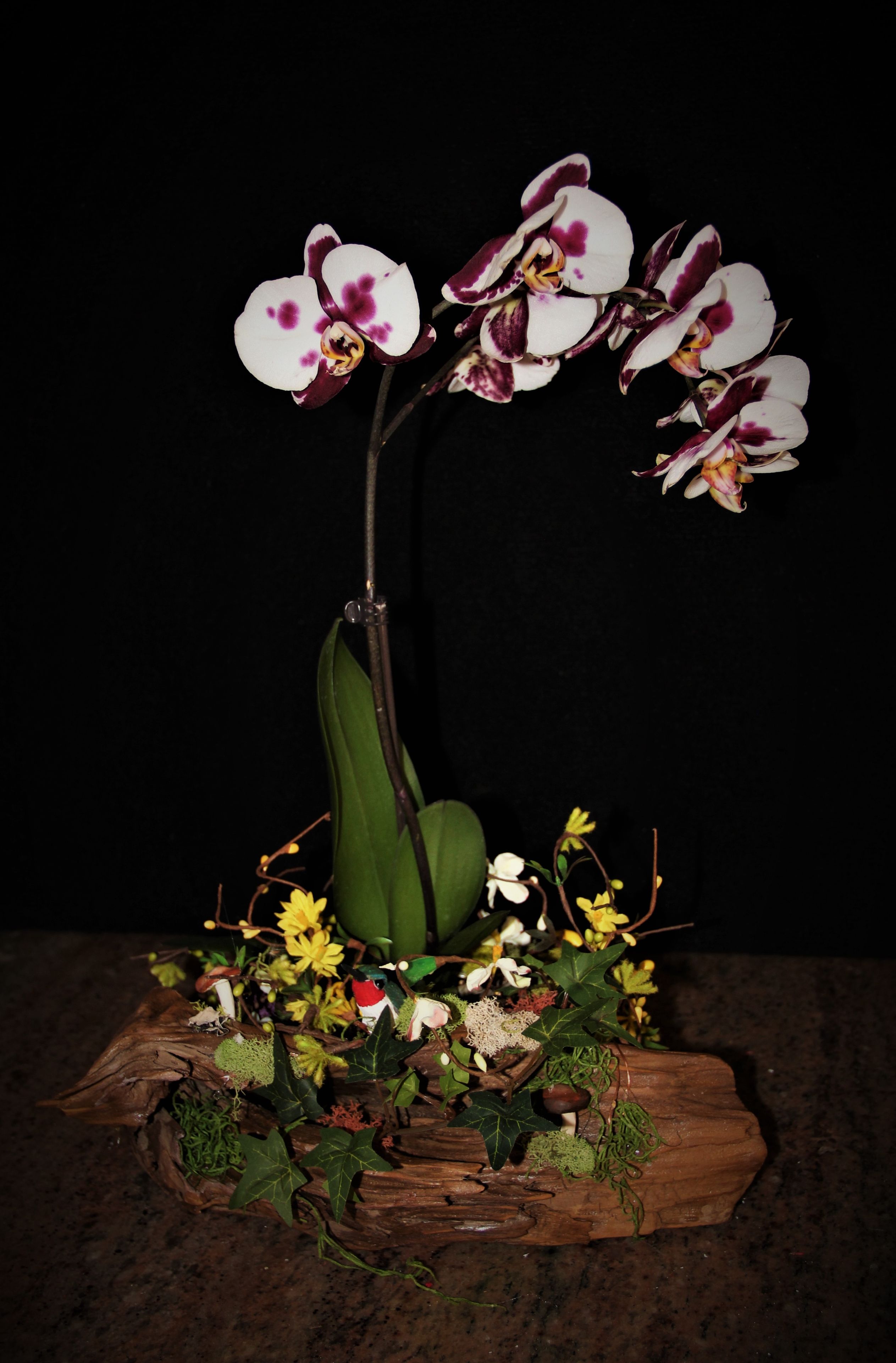 Natural Wood Plant Holder With Hand Sculpted Animal.