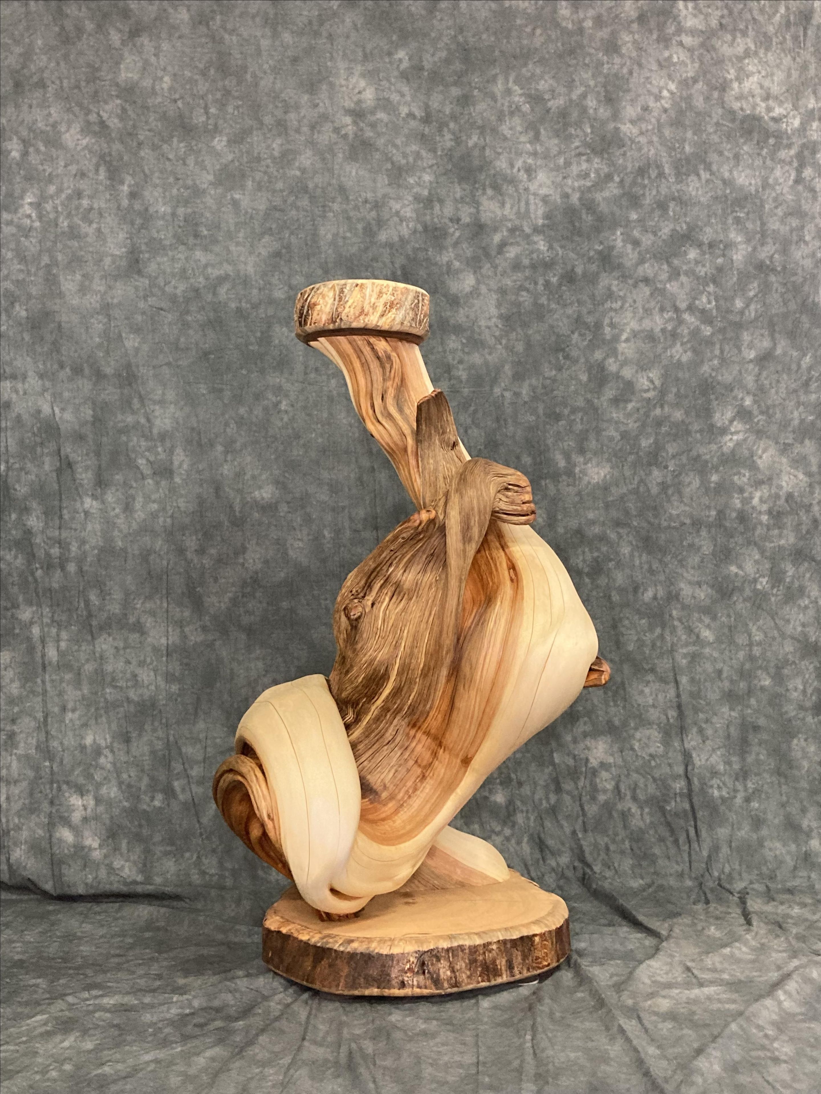 Handmade Twisted Juniper Taxidermy Pedestal 2 