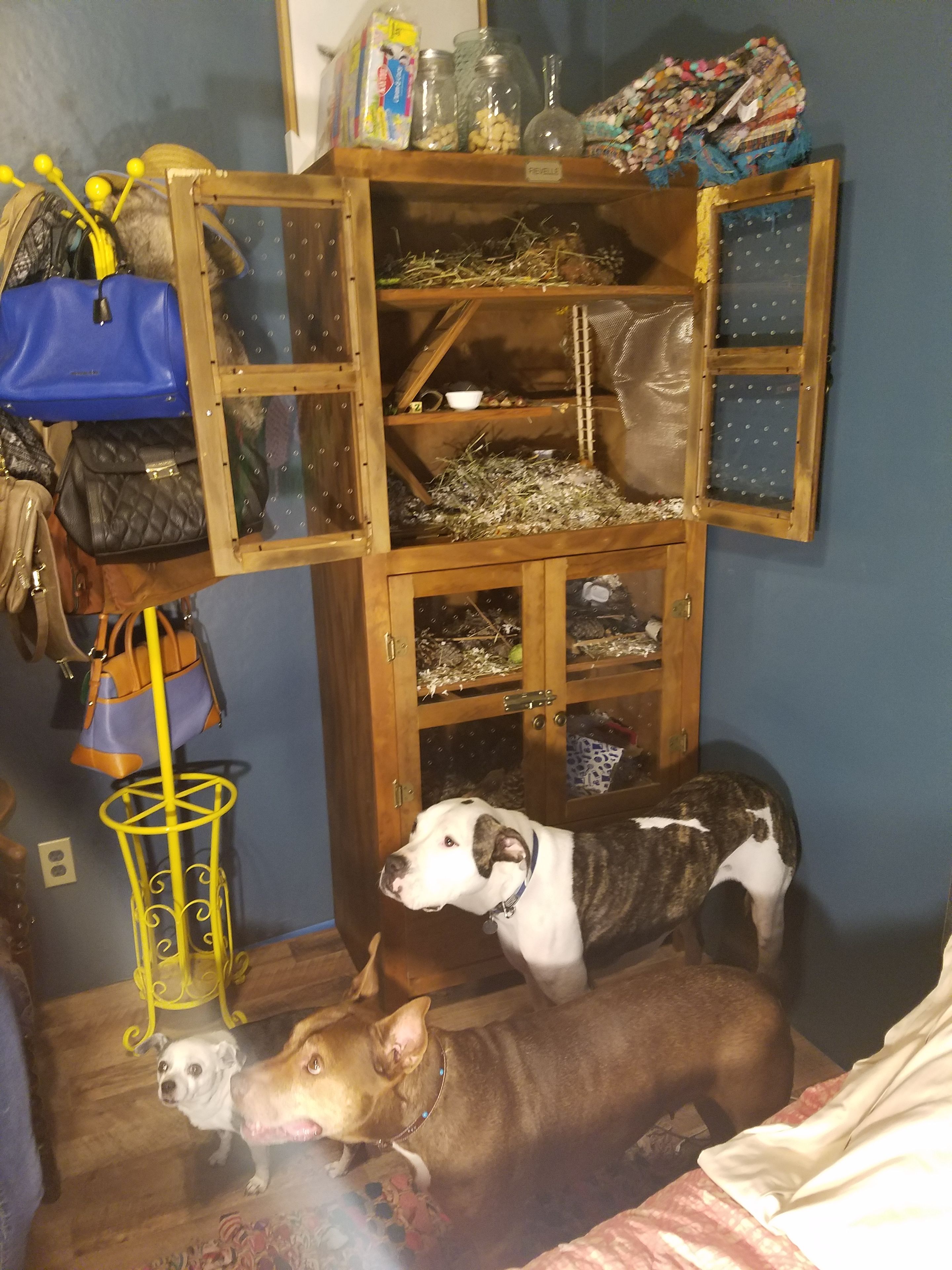 Pet Palace / Animal Home / Furniture For Fluffers 5