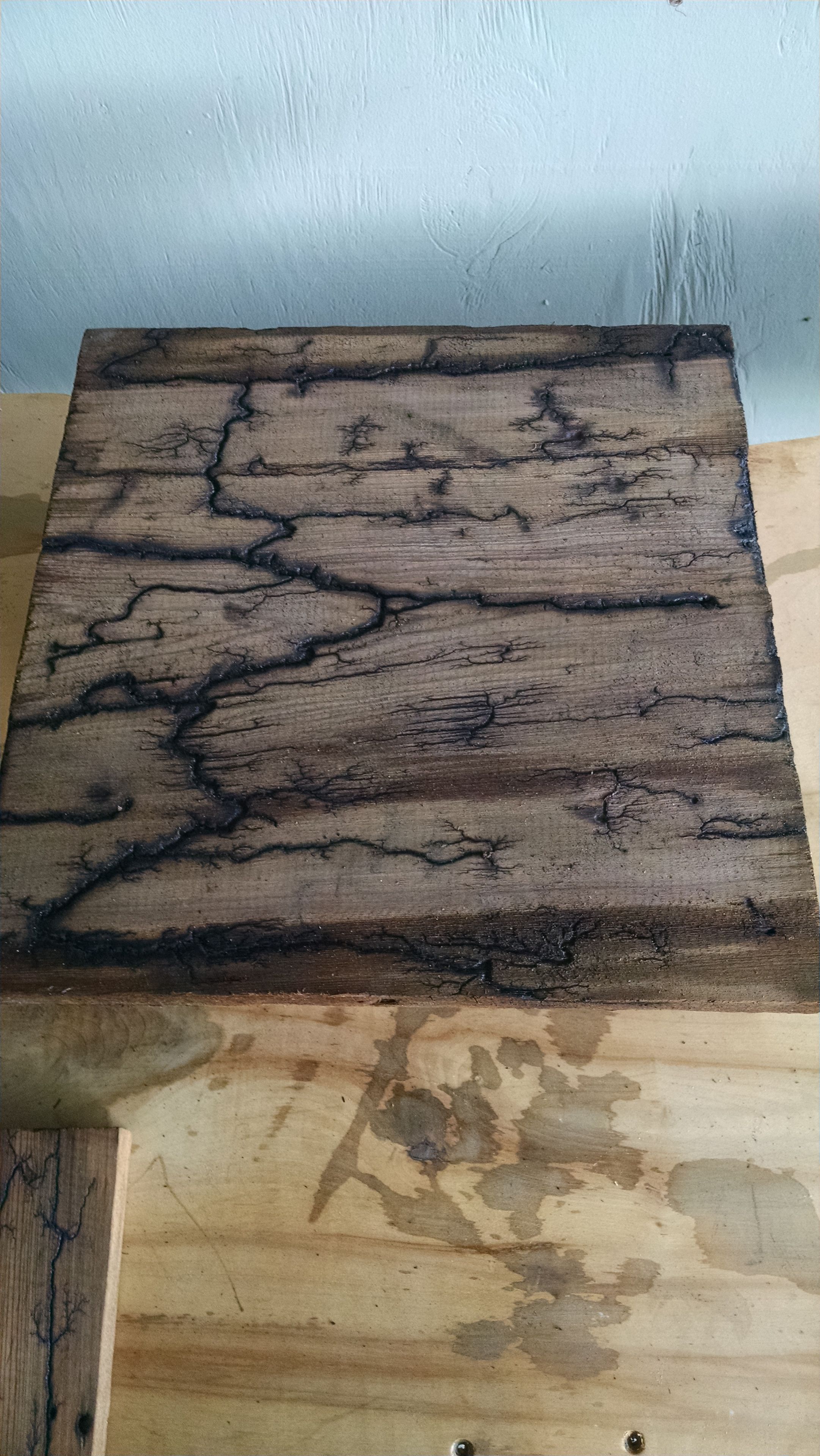 Fire On The Water Swamp Art Lighting Strikes Captured On Wood! 3 
