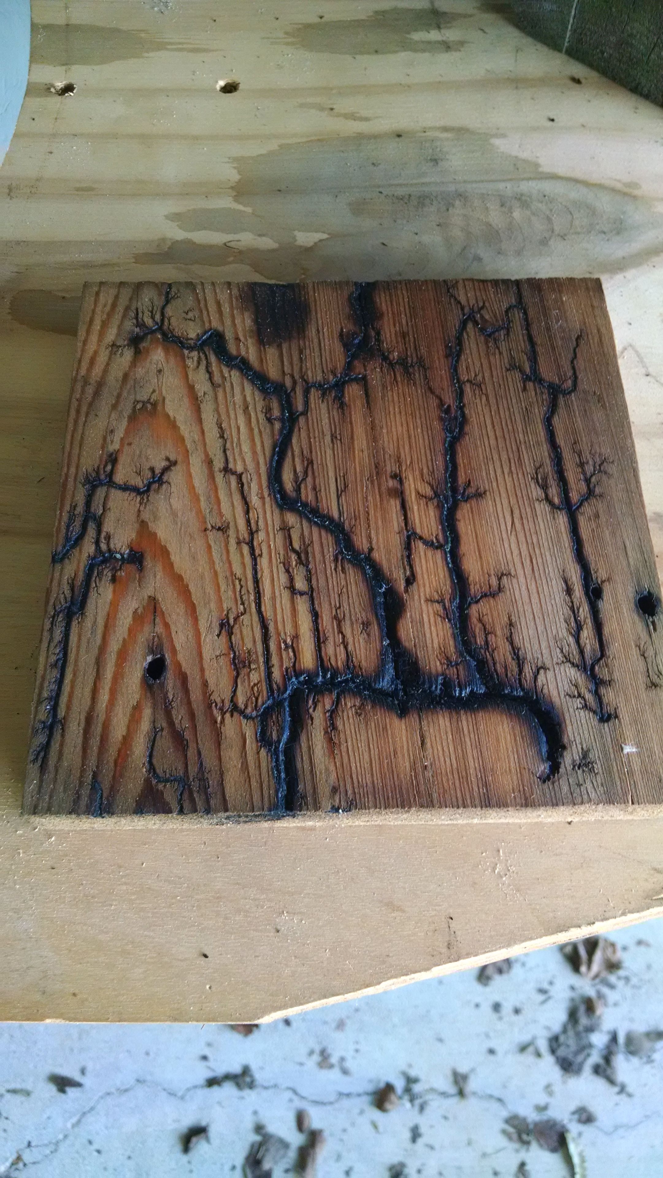 Fire On The Water Swamp Art Lighting Strikes Captured On Wood! 6 