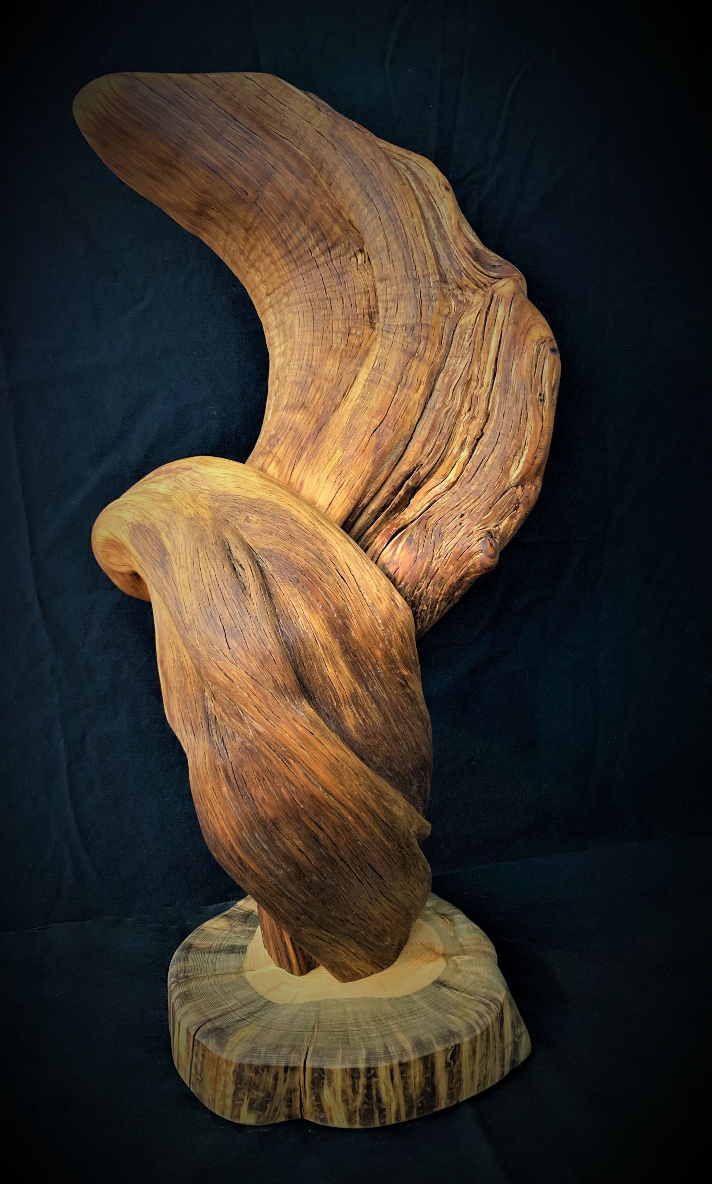 Handmade Twisted Jumiper Taxidermy Pedestal 2 