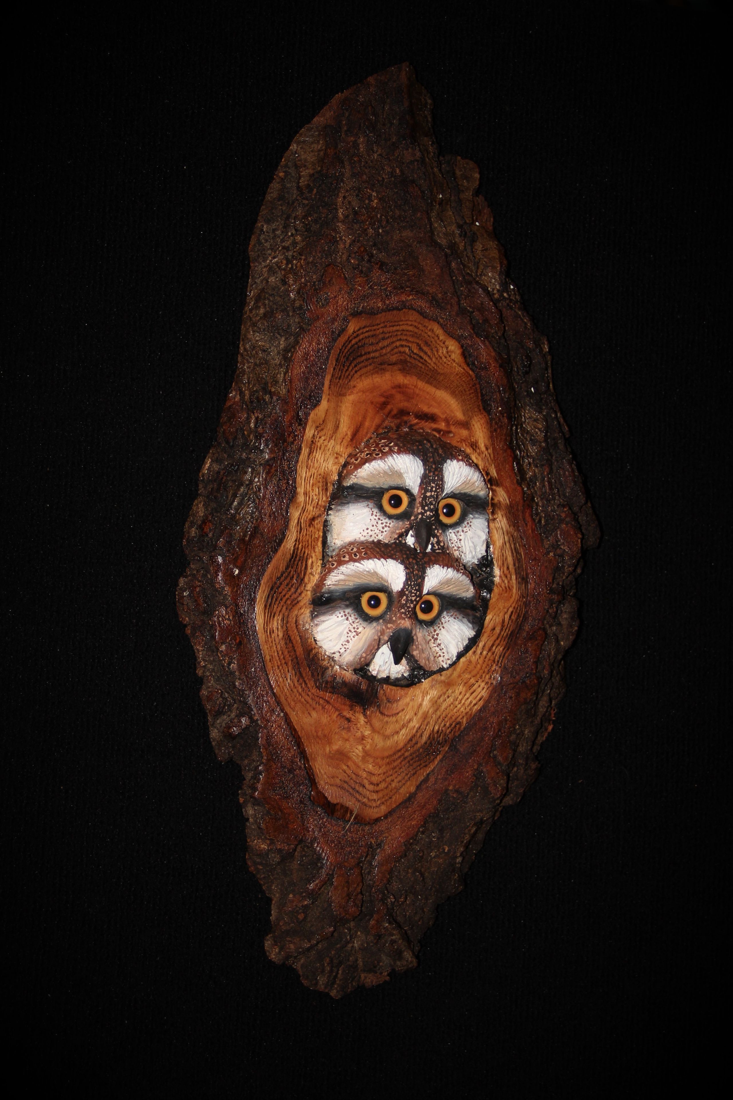 Wood Owl Wall Sculpture 5 