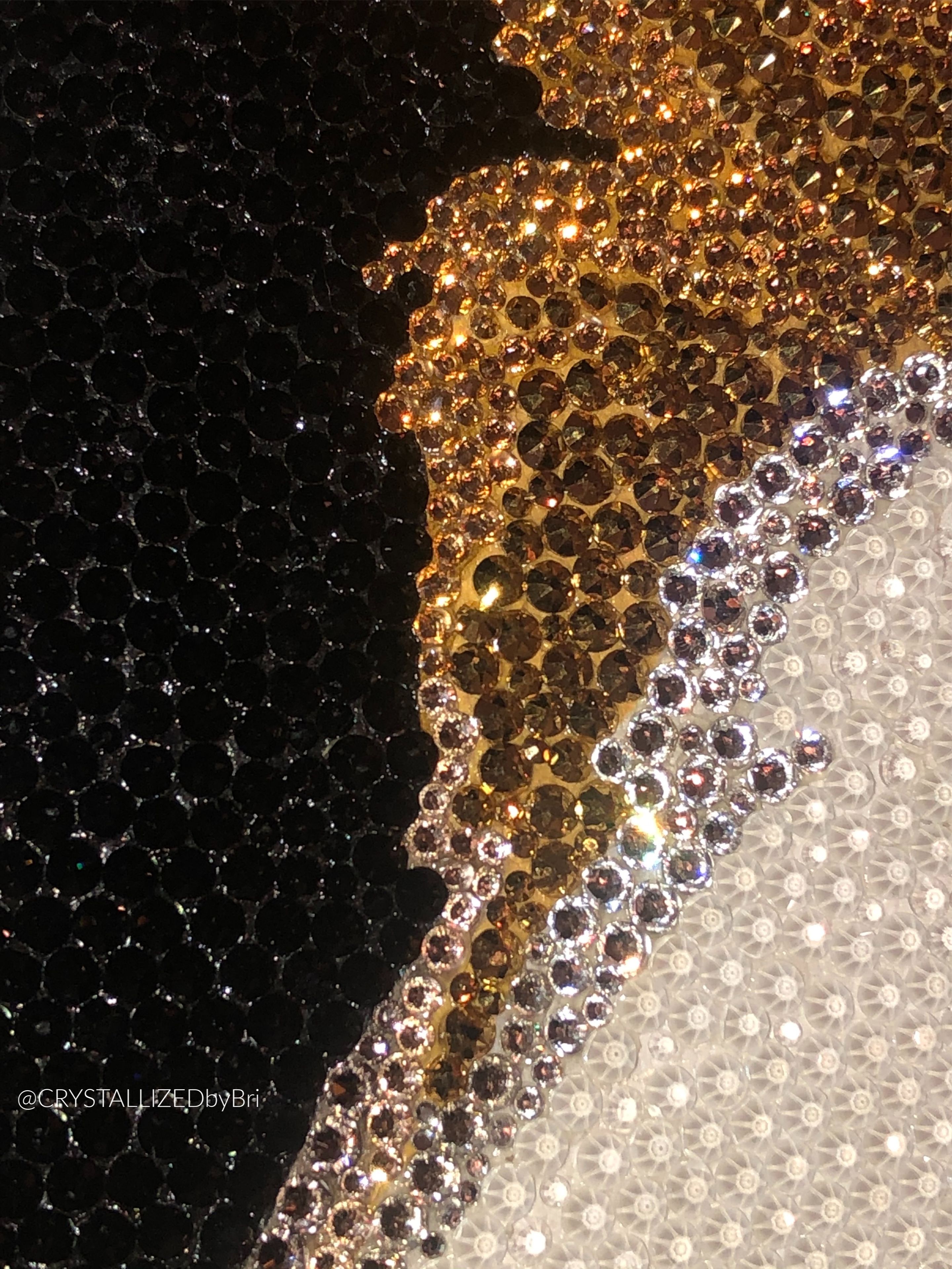 Custom Crystallized Pet Portrait Dog Cat Animal Bling Genuine European Crystals Bedazzled Museum 2