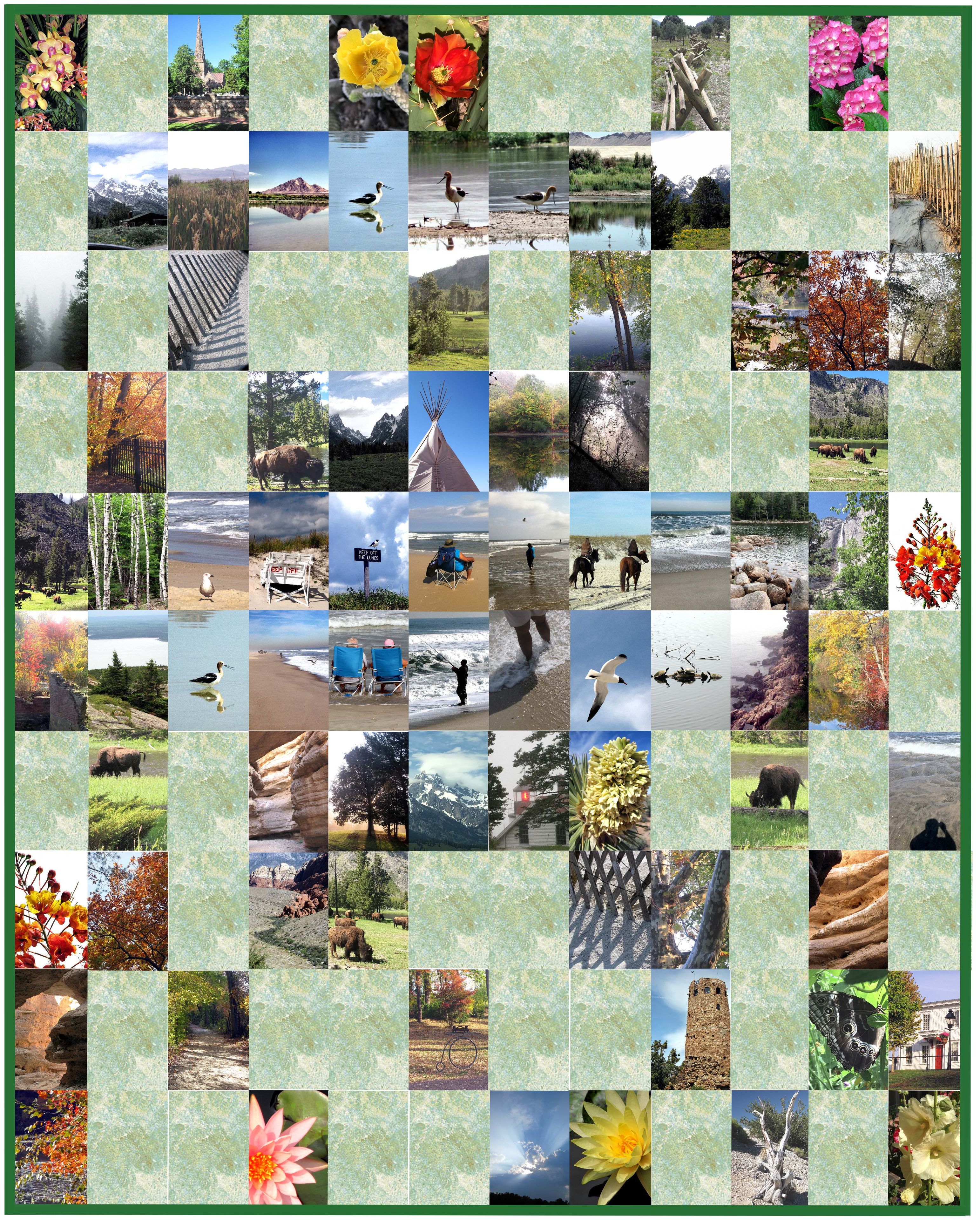 48 X 60 Family Photographs Art Quilt - Vert Photos