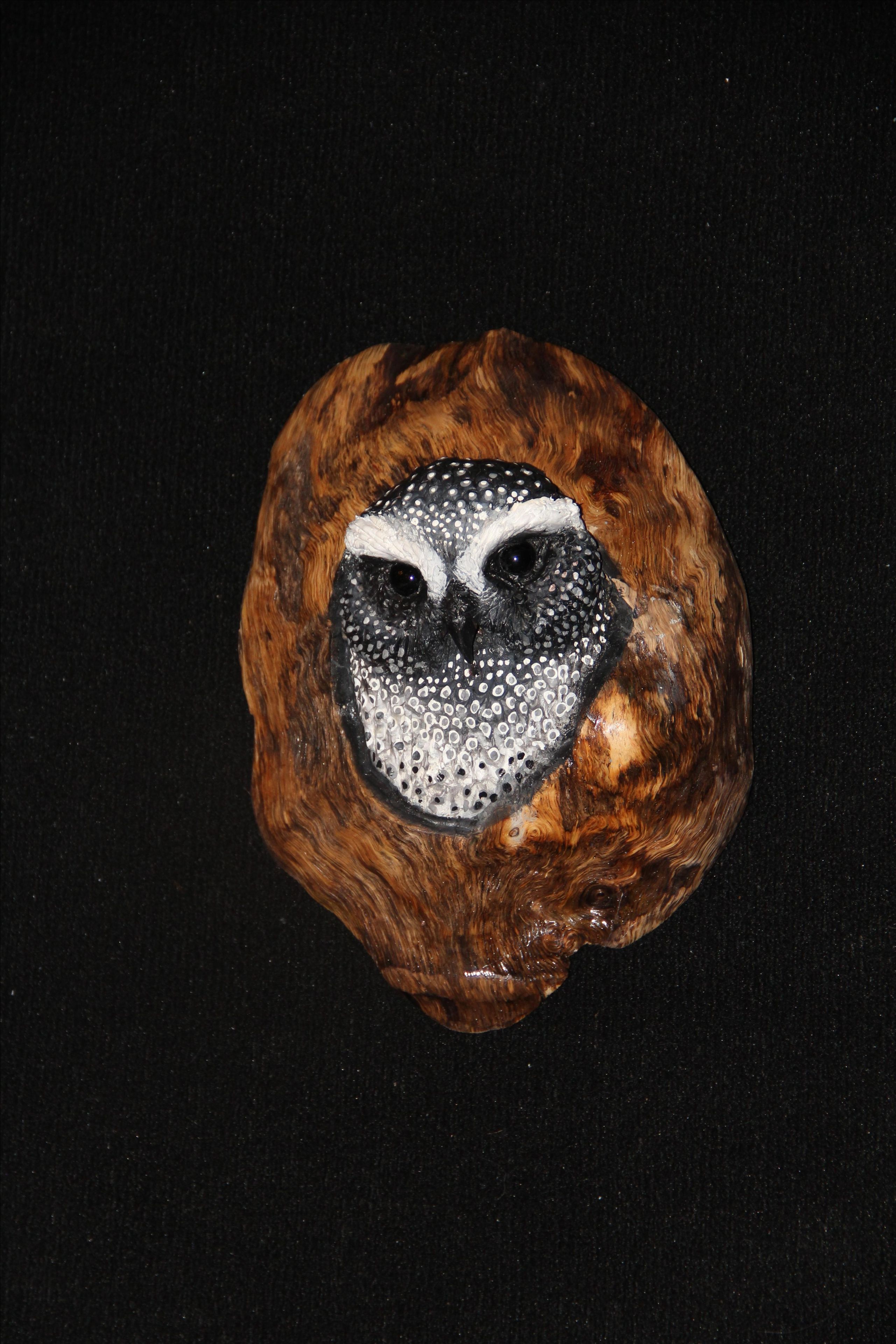 Hand Carved And Painted Owls In Oak