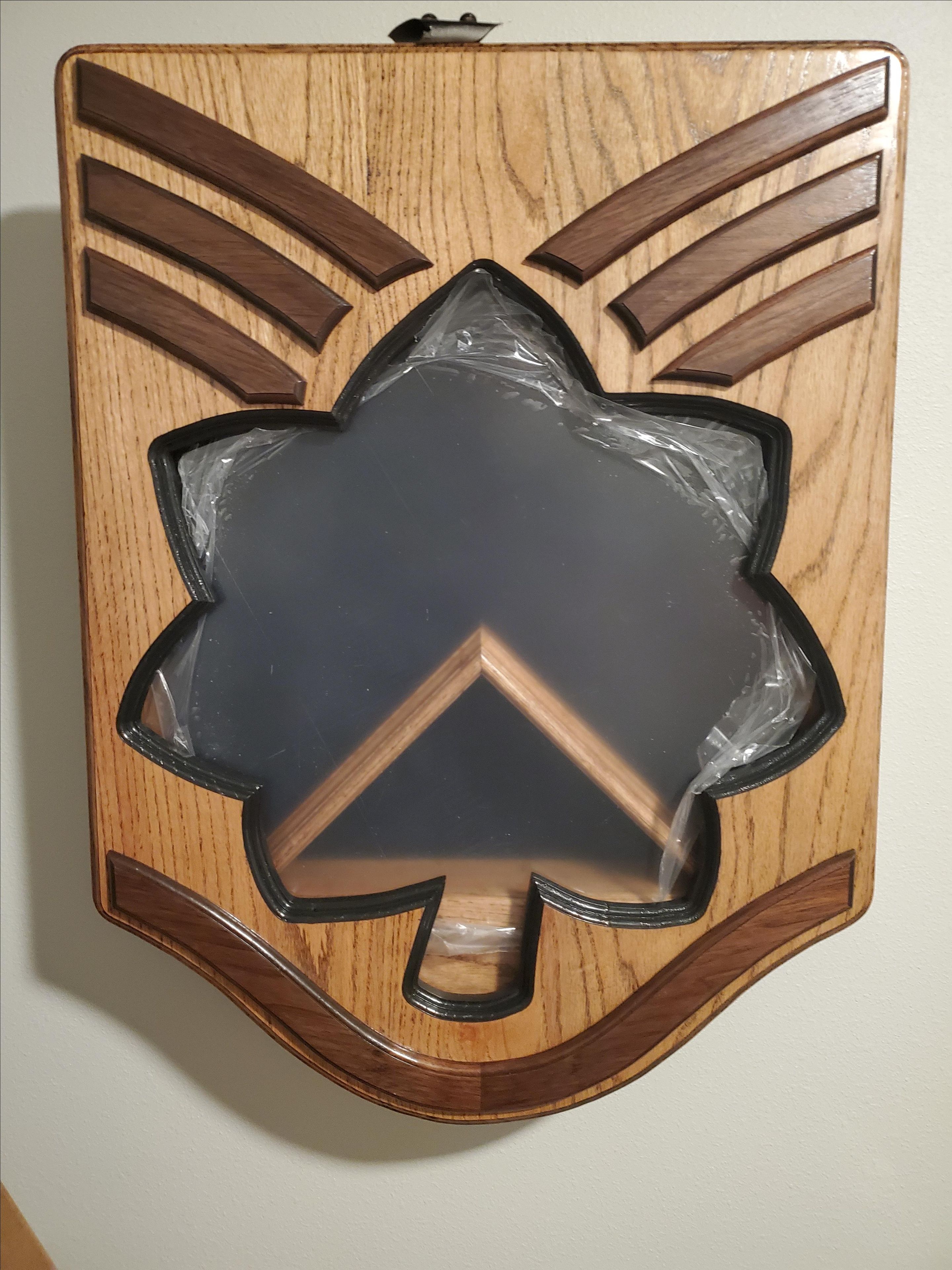 Usaf Enlisted To Officer Shadow Box