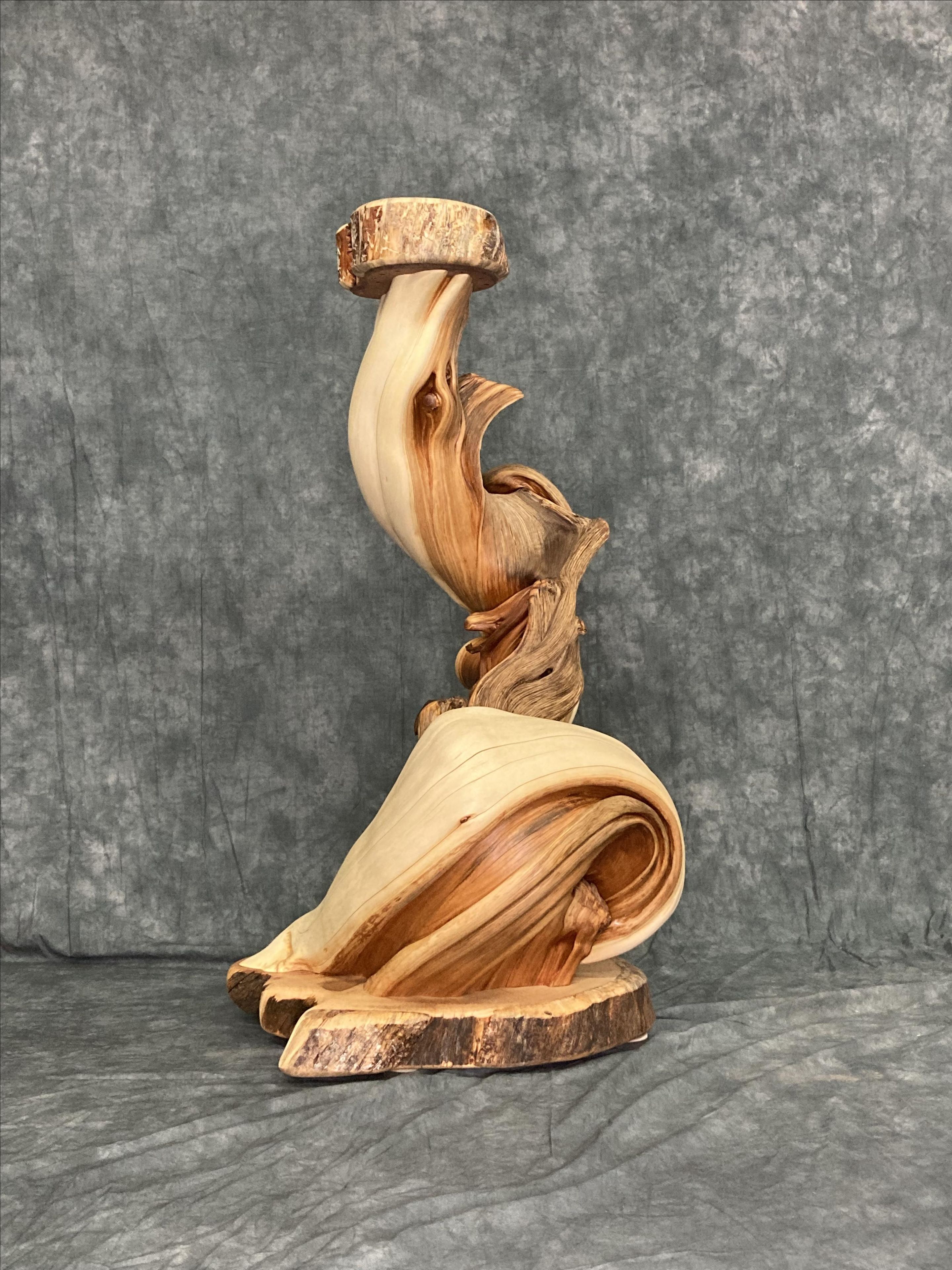Handmade Twisted Juniper Taxidermy Pedestal 4 