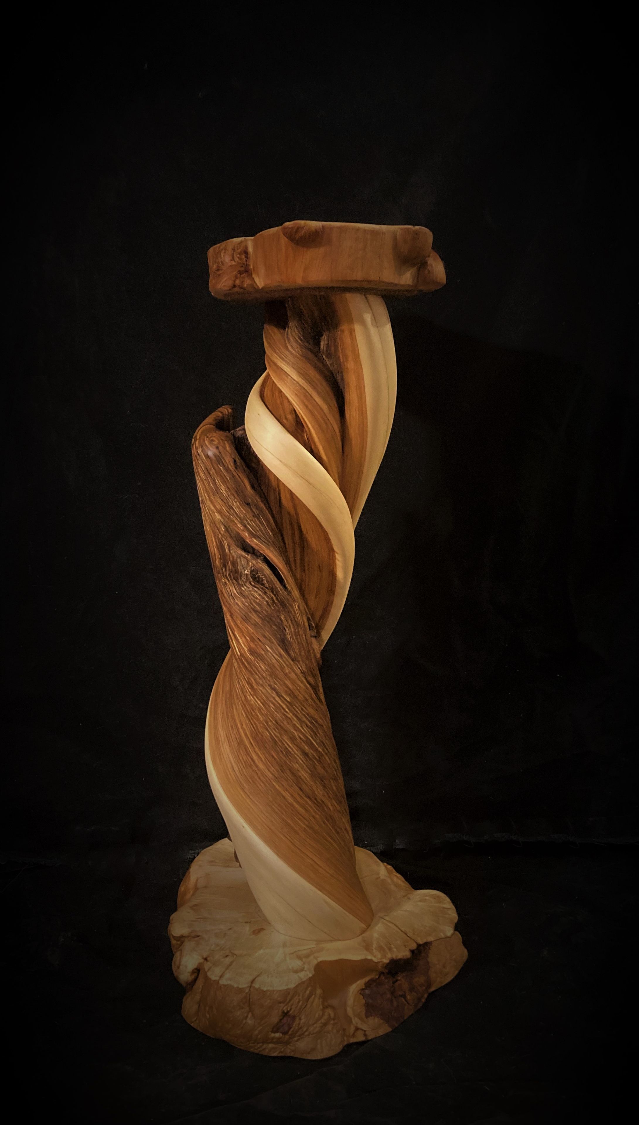 Handmade Tiwsted Juniper Taxidermy Pedestal On Blue Pine Bases 3 