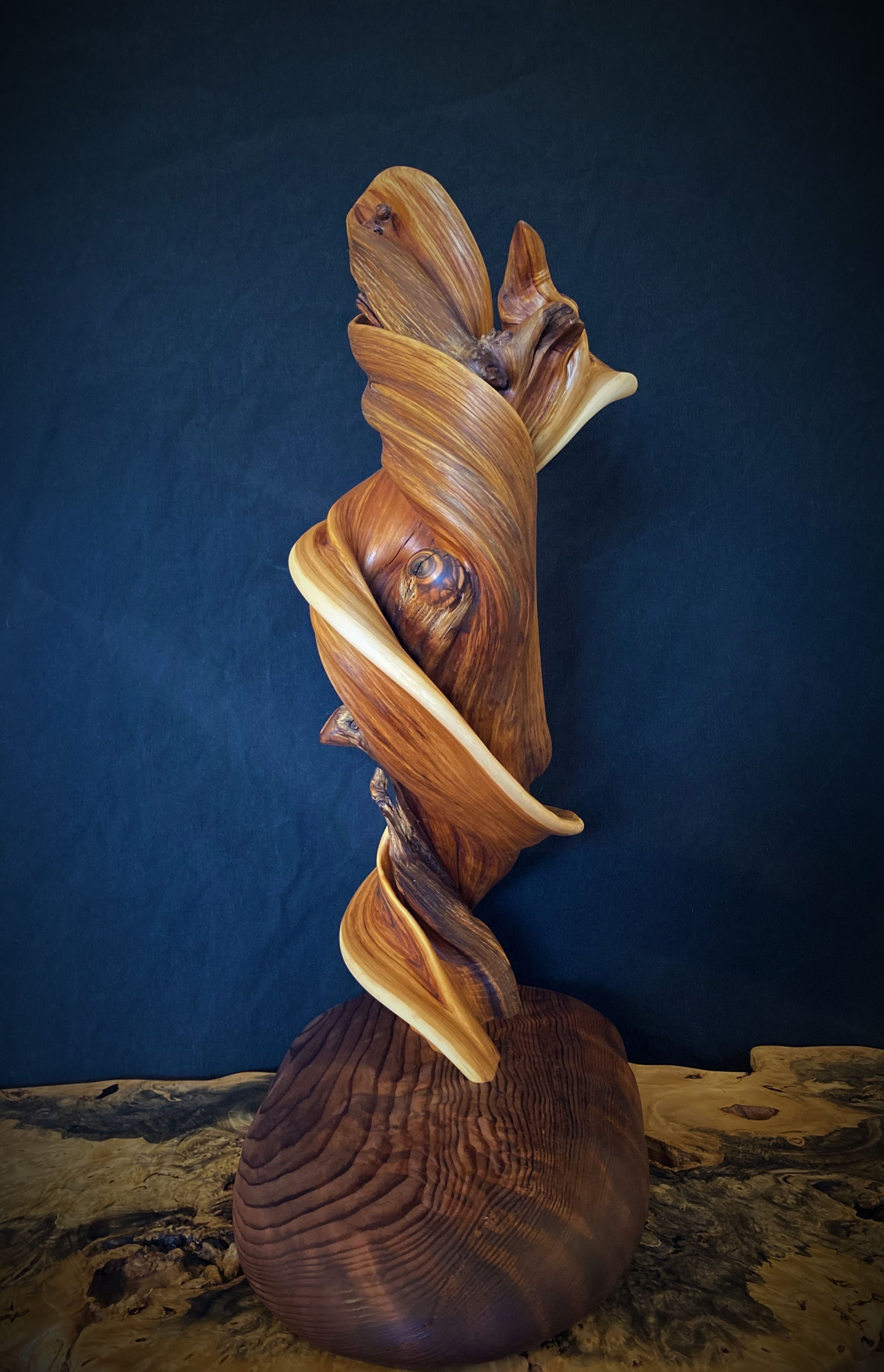Rustic Twisted Juniper Sculpture On A Redwood Burl Base 2 