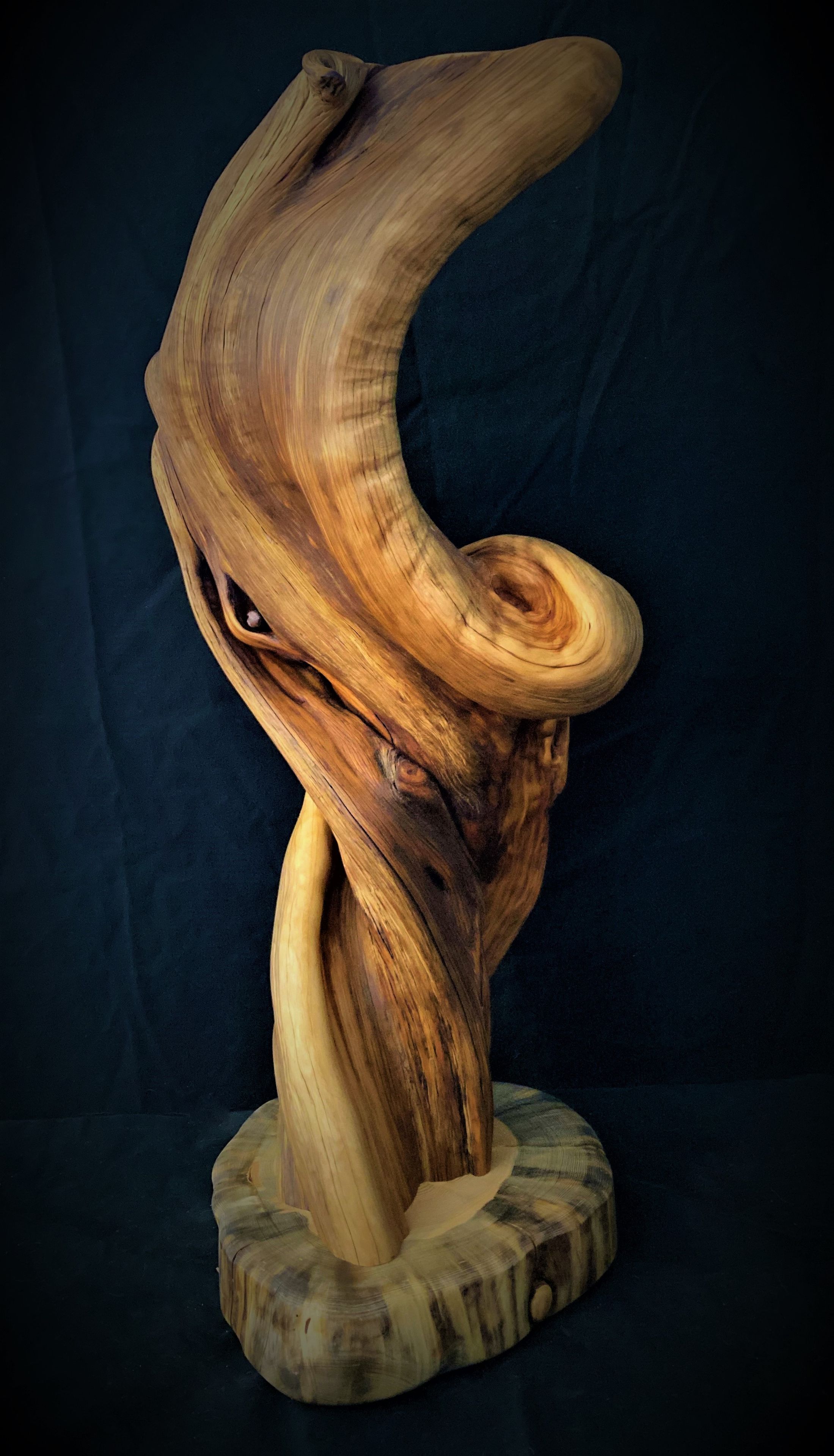 Handmade Twisted Jumiper Taxidermy Pedestal 5 