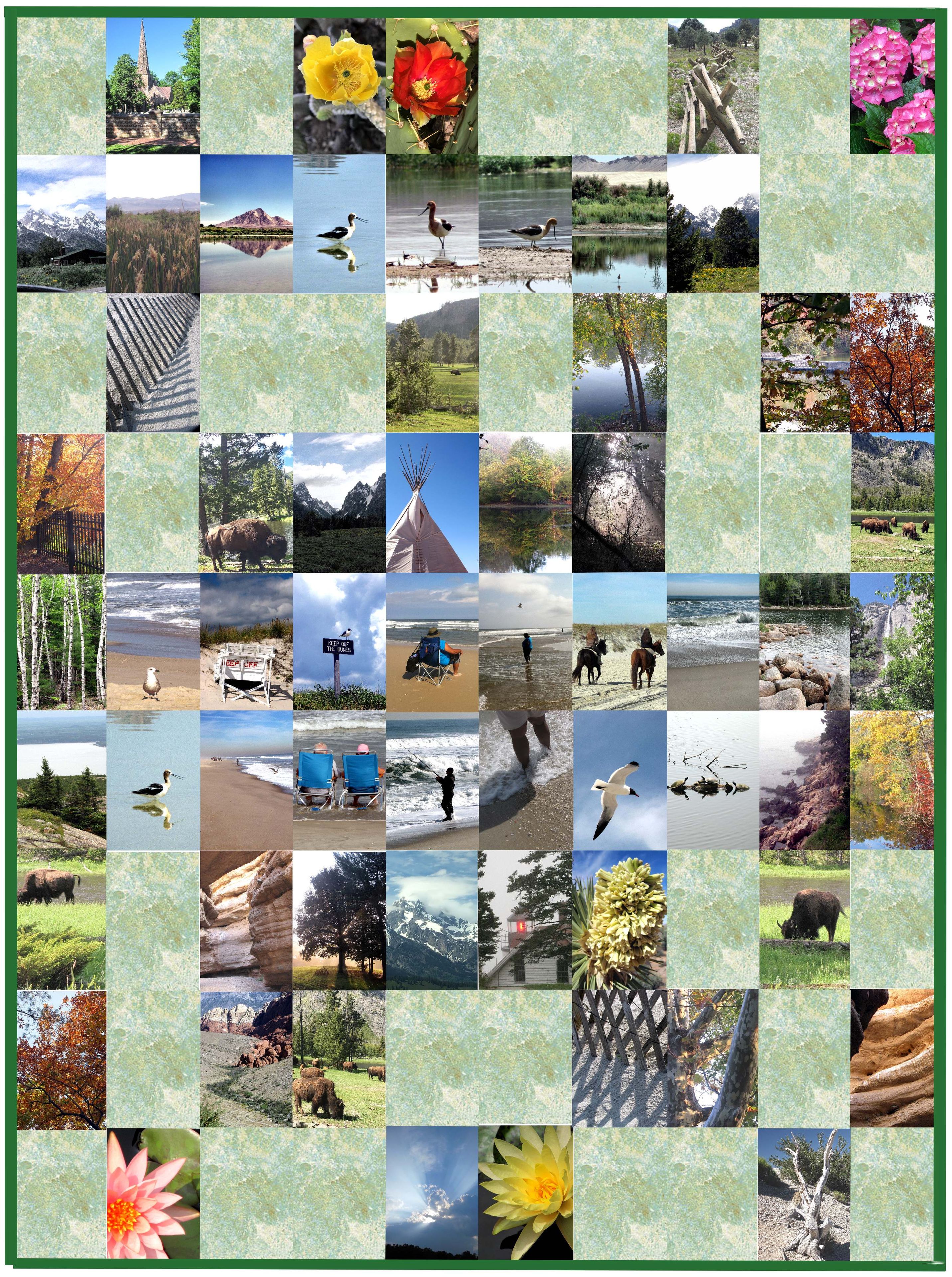 36 X 52 Family Photographs Art Quilt With Vert. Photos