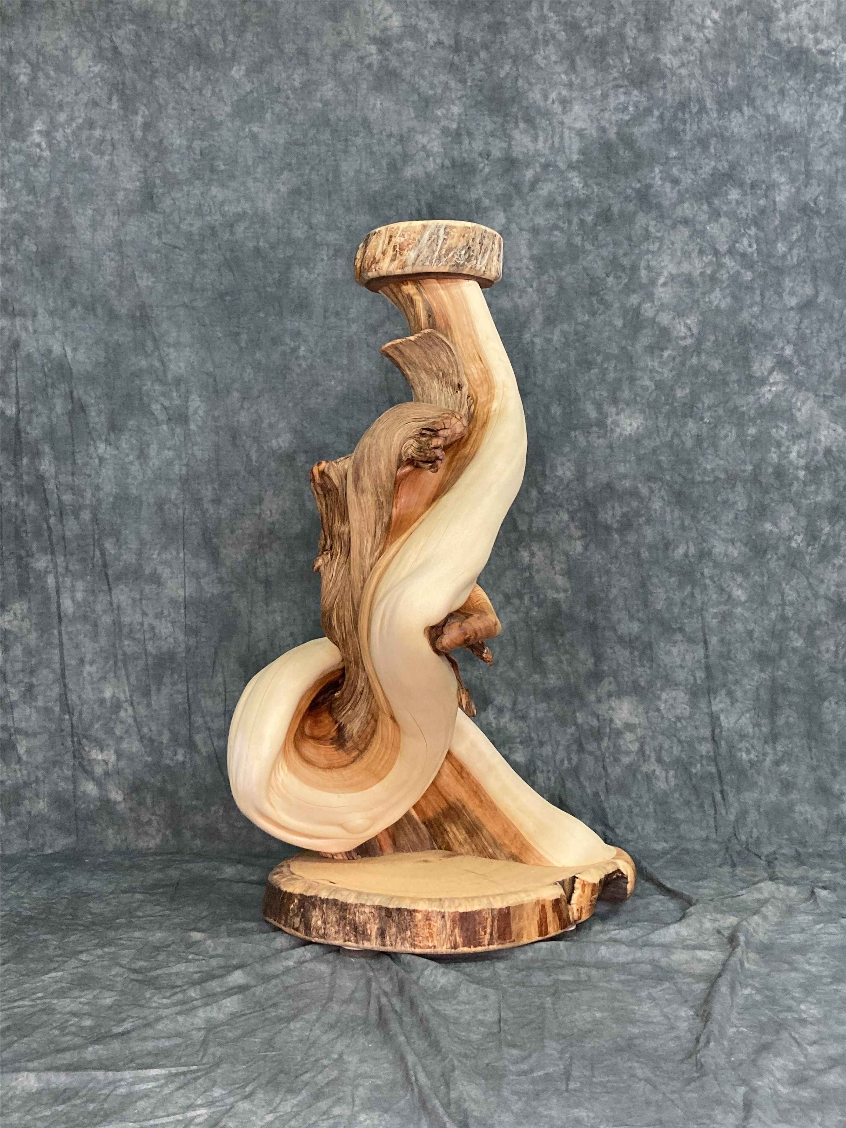 Handmade Twisted Juniper Taxidermy Pedestal 6 