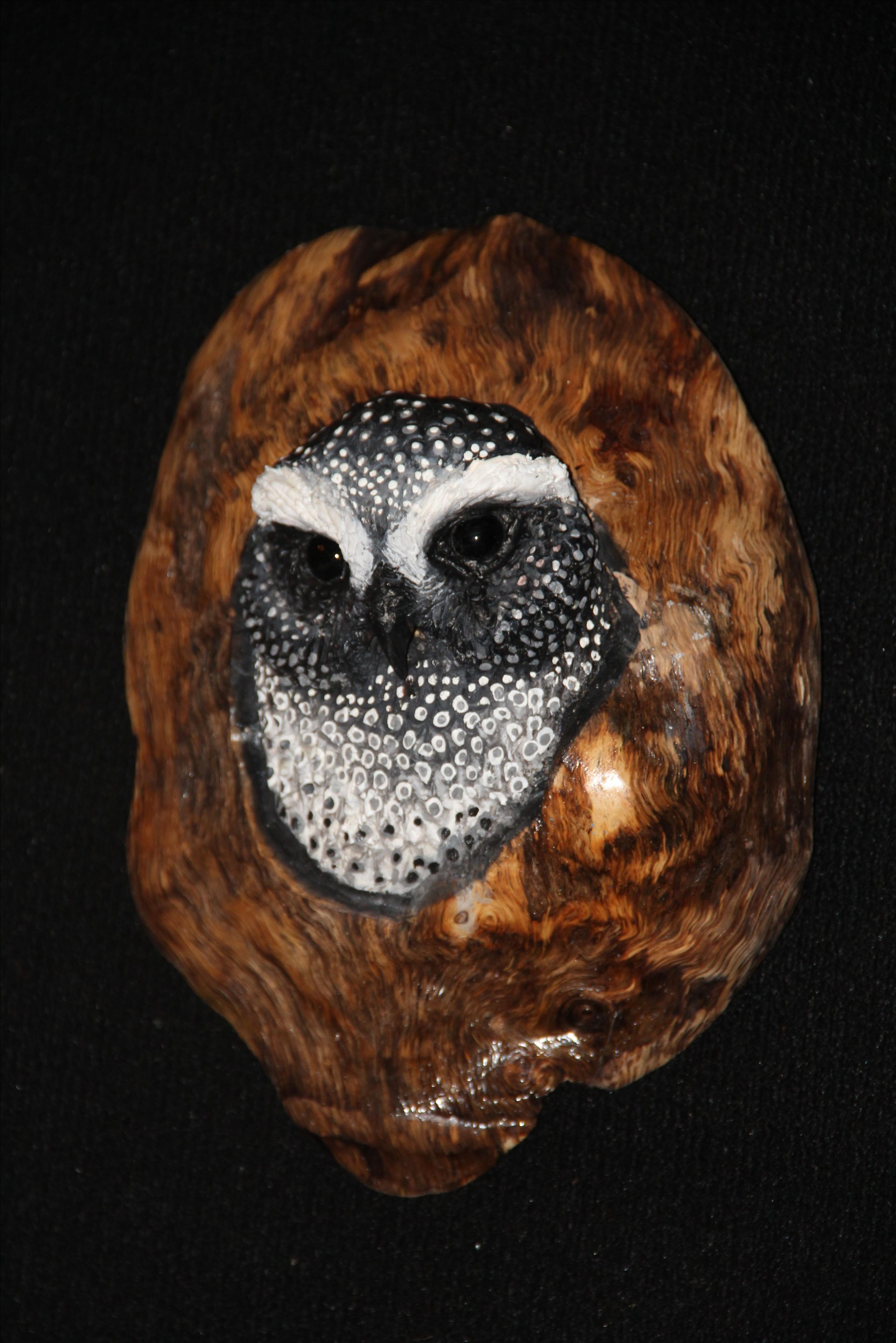 Hand Carved And Painted Owls In Oak 4 