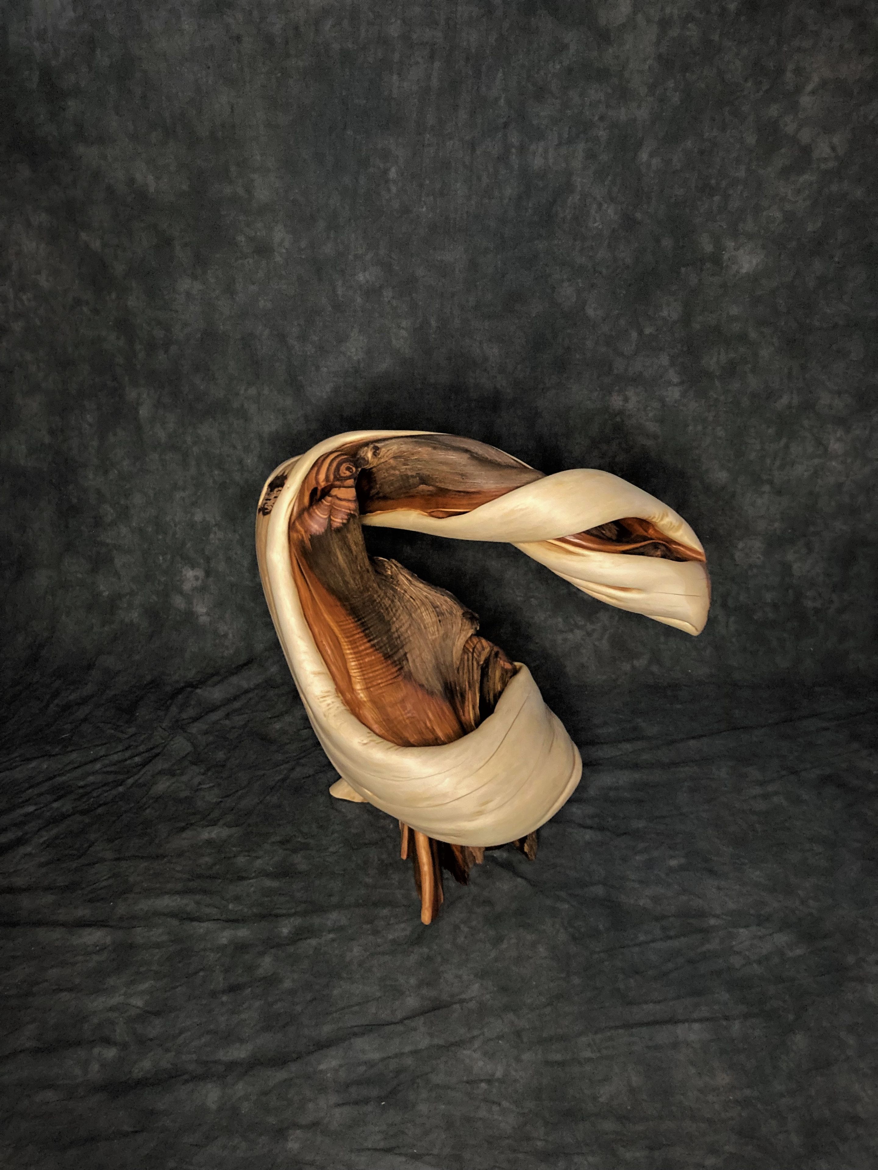 Twisted Juniper Taxidermy Pedestal With Turquoise Inlay 6 