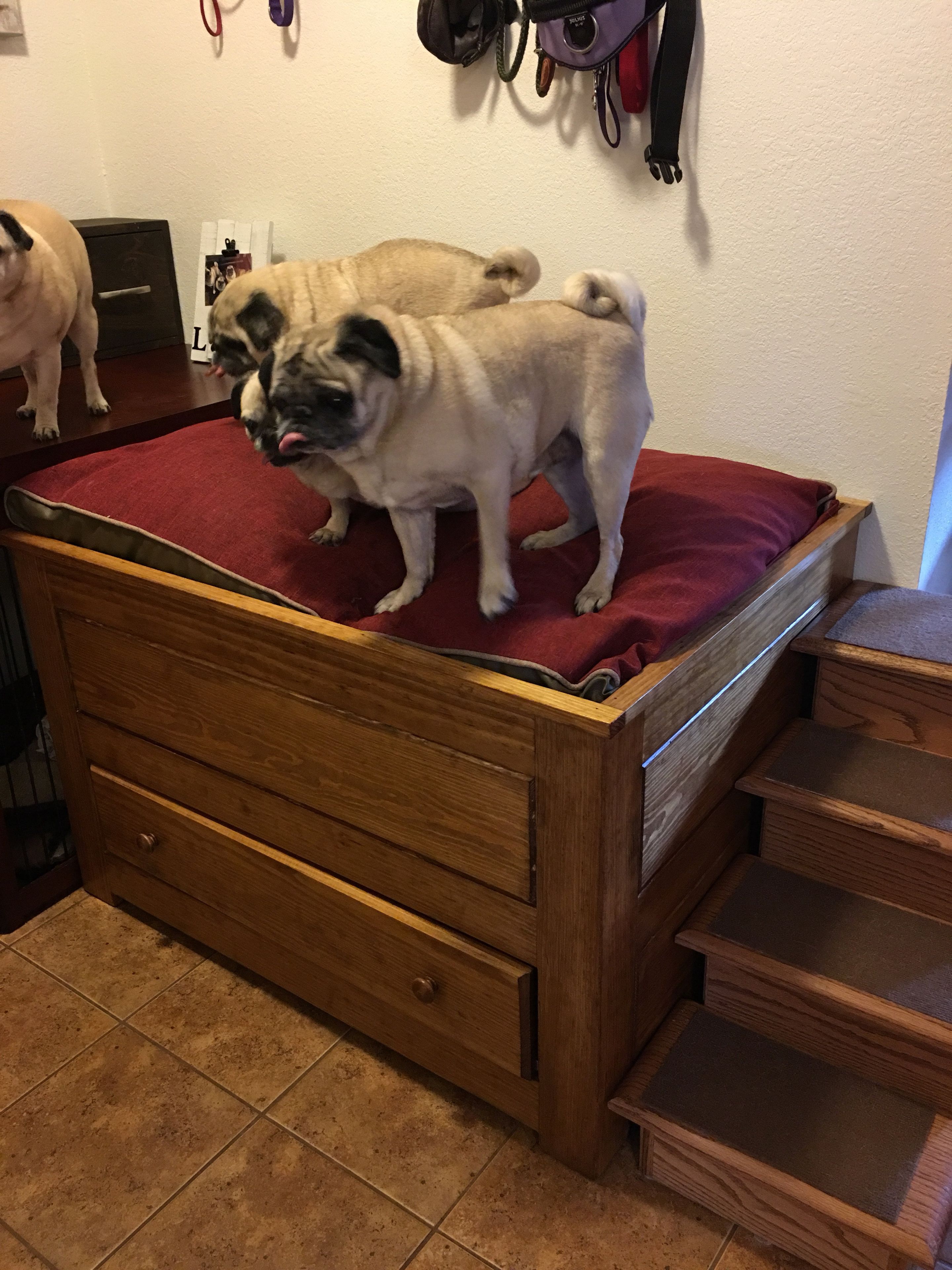 Dog Bed with stairs 7