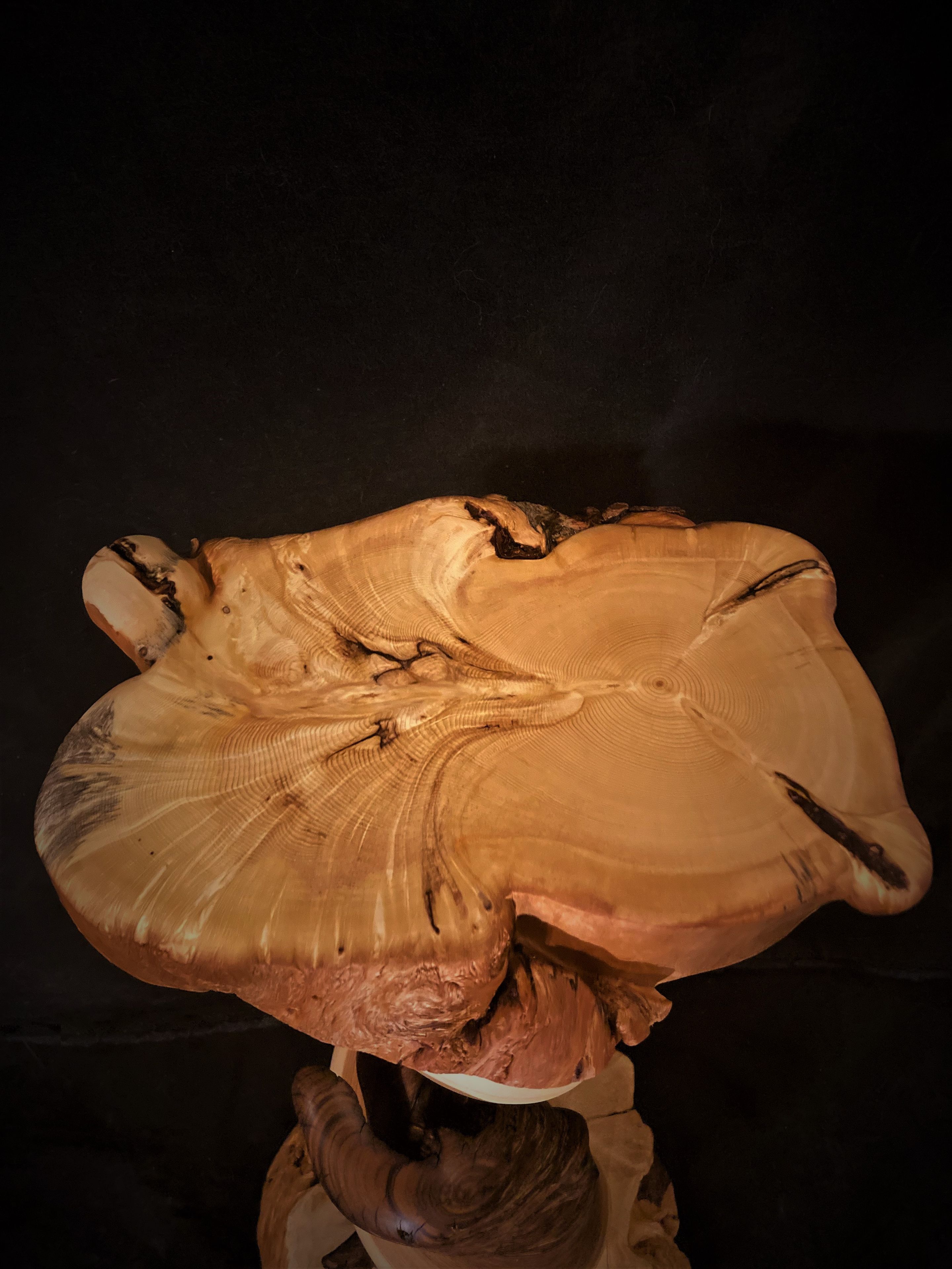 Handmade Tiwsted Juniper Taxidermy Pedestal On Blue Pine Bases 5 