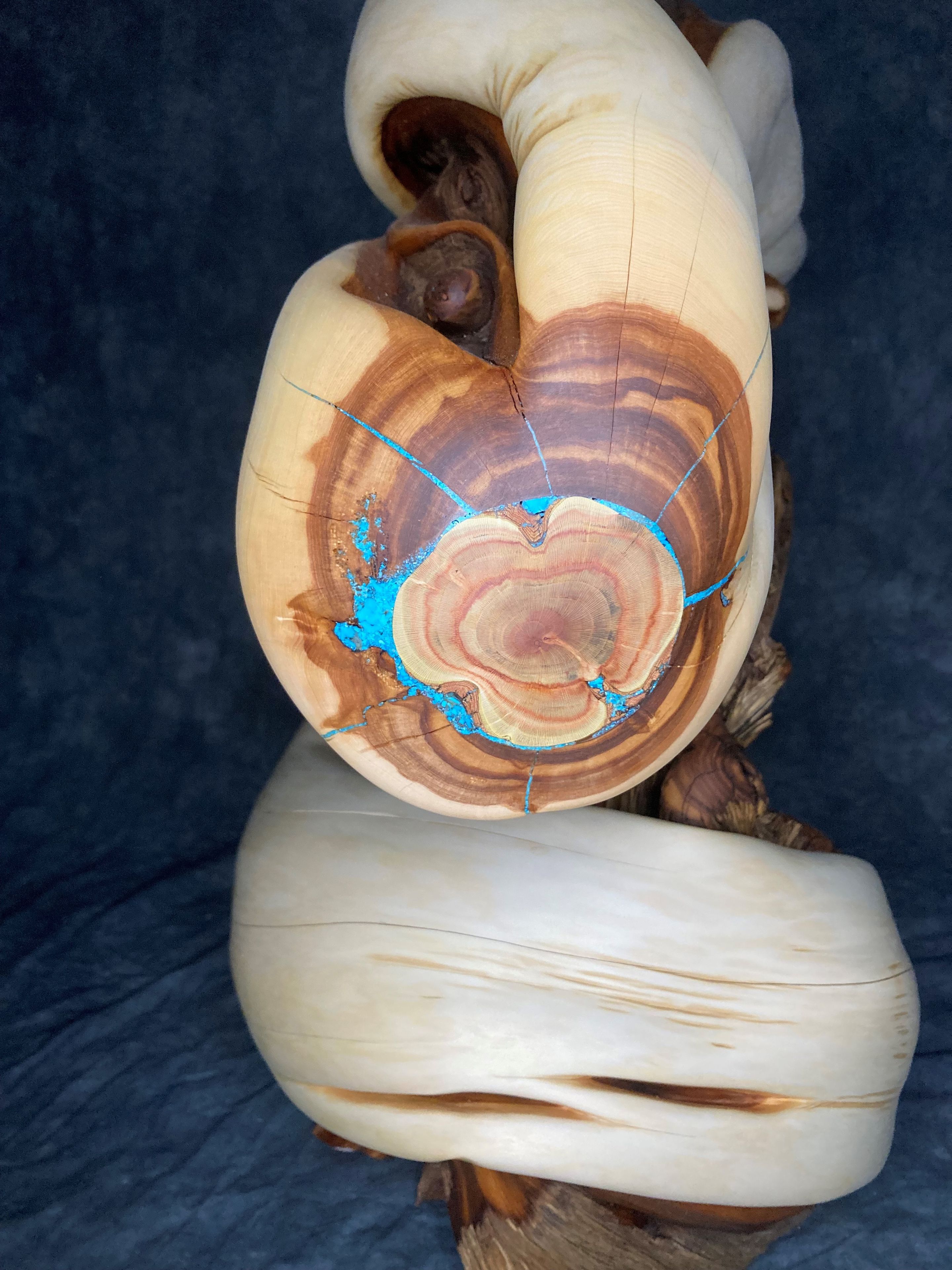 Twisted Juniper Taxidermy Pedestal With Turquoise Inlay 2 