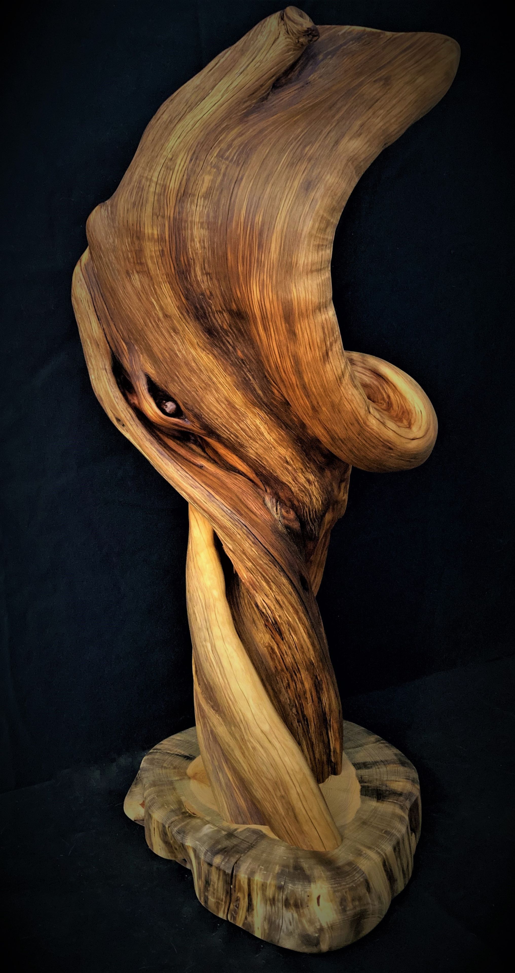 Handmade Twisted Jumiper Taxidermy Pedestal 3 