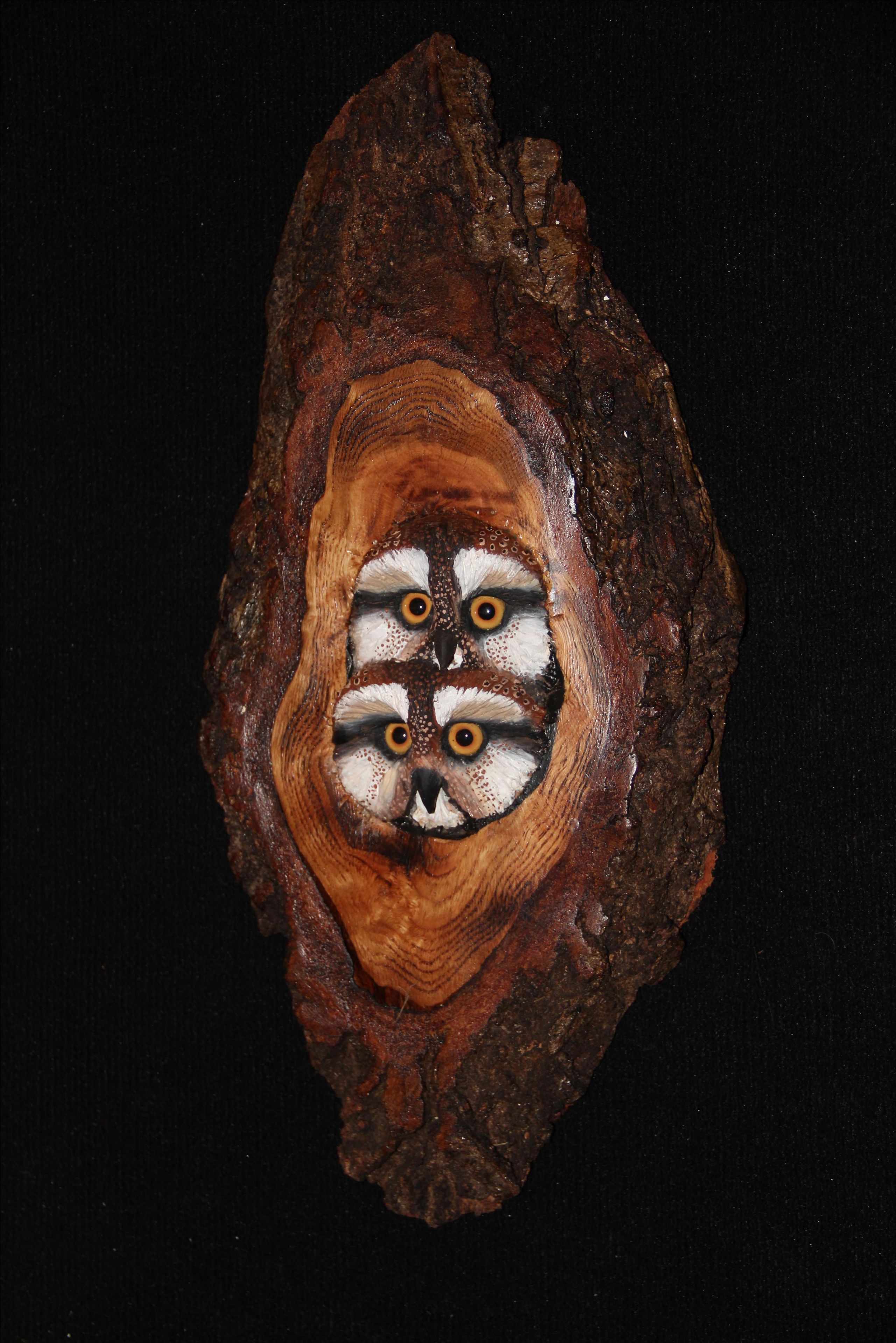 Wood Owl Wall Sculpture